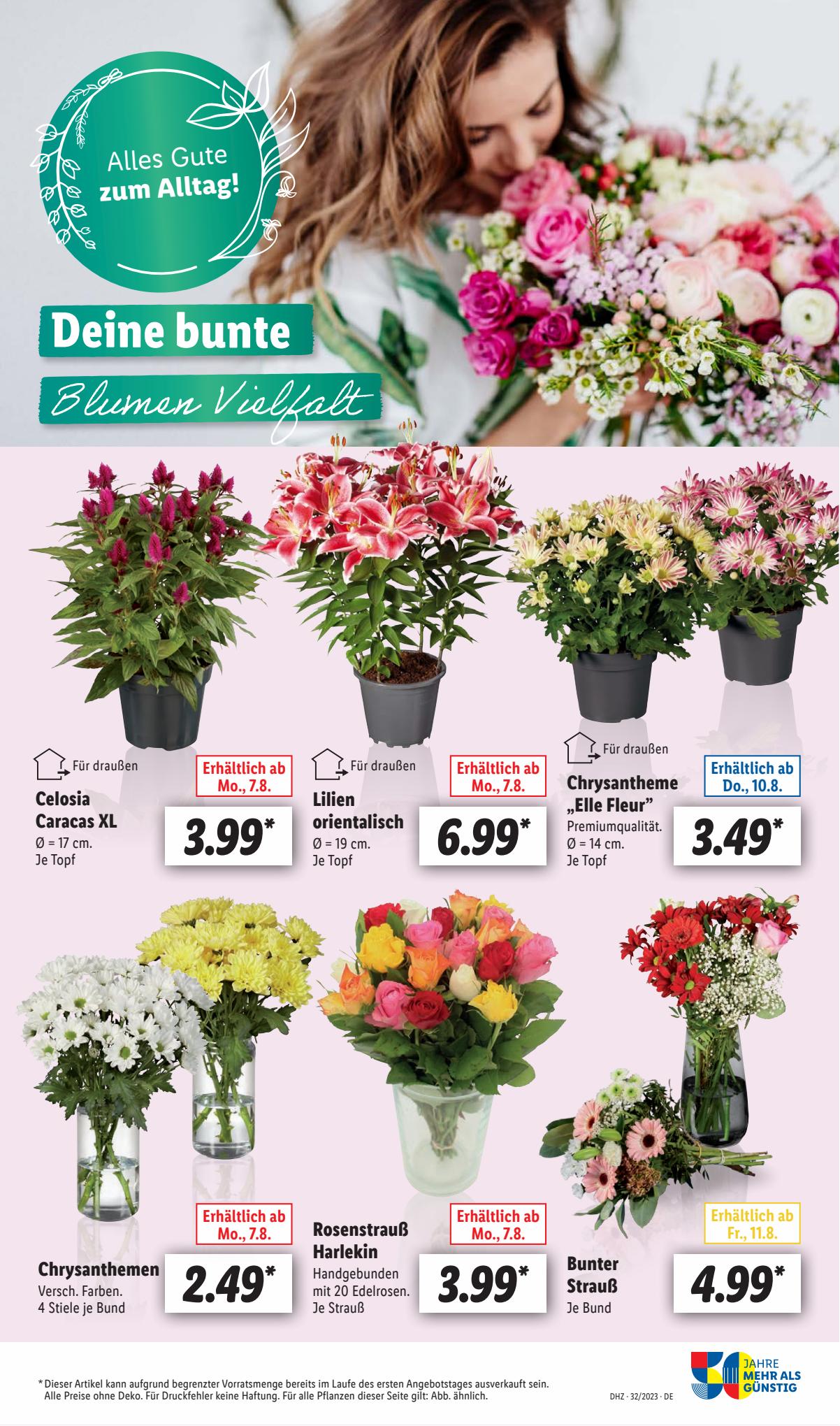 Lidl Prospekt 7 – 12 August 2023 Seite 29