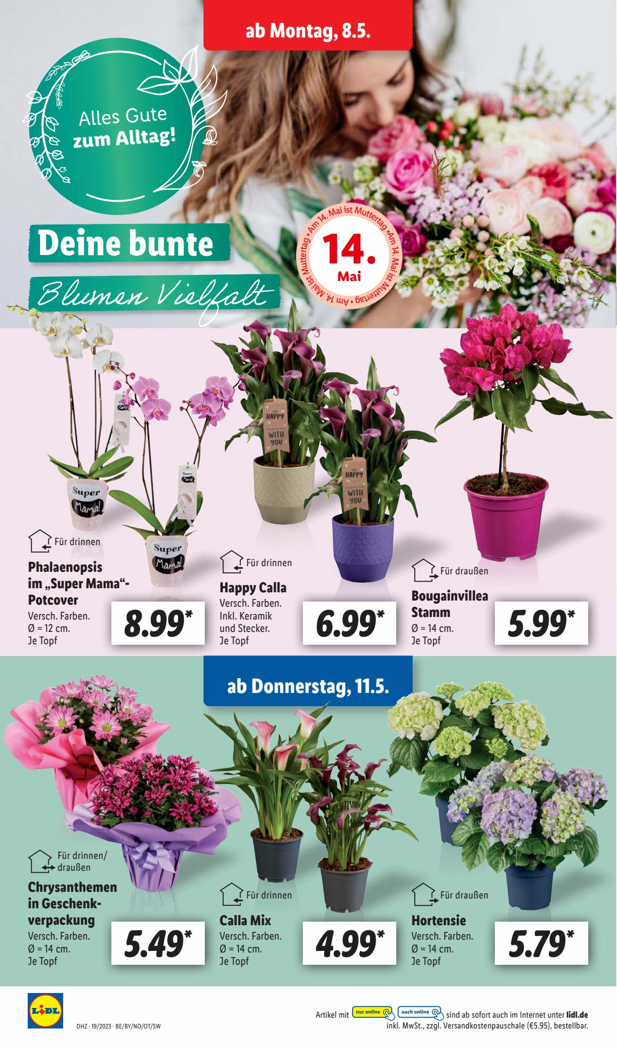 Lidl Prospekt 8 – 13 Mai 2023 Seite 6