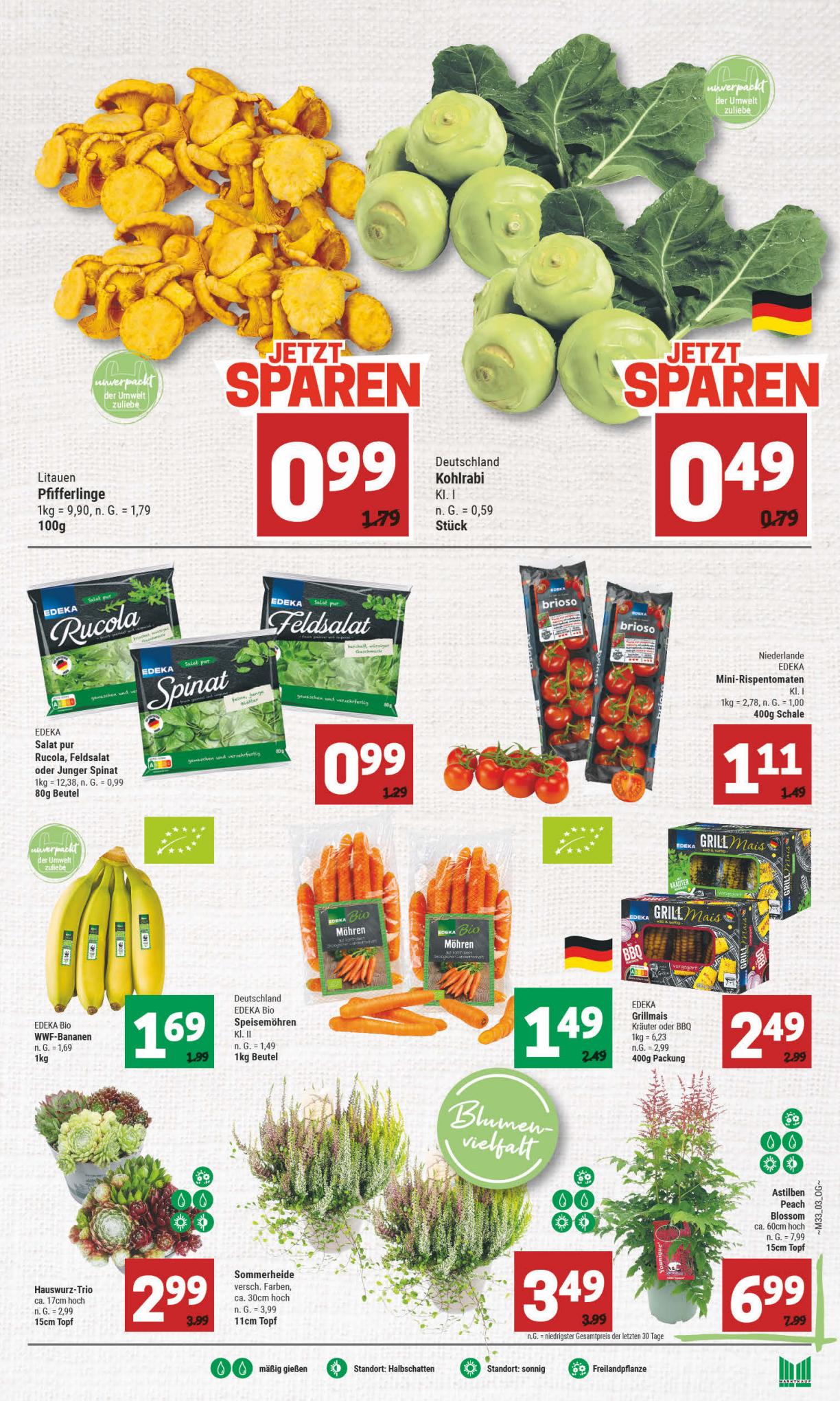 Marktkauf Prospekt 13 – 19 August 2023 Seite 3