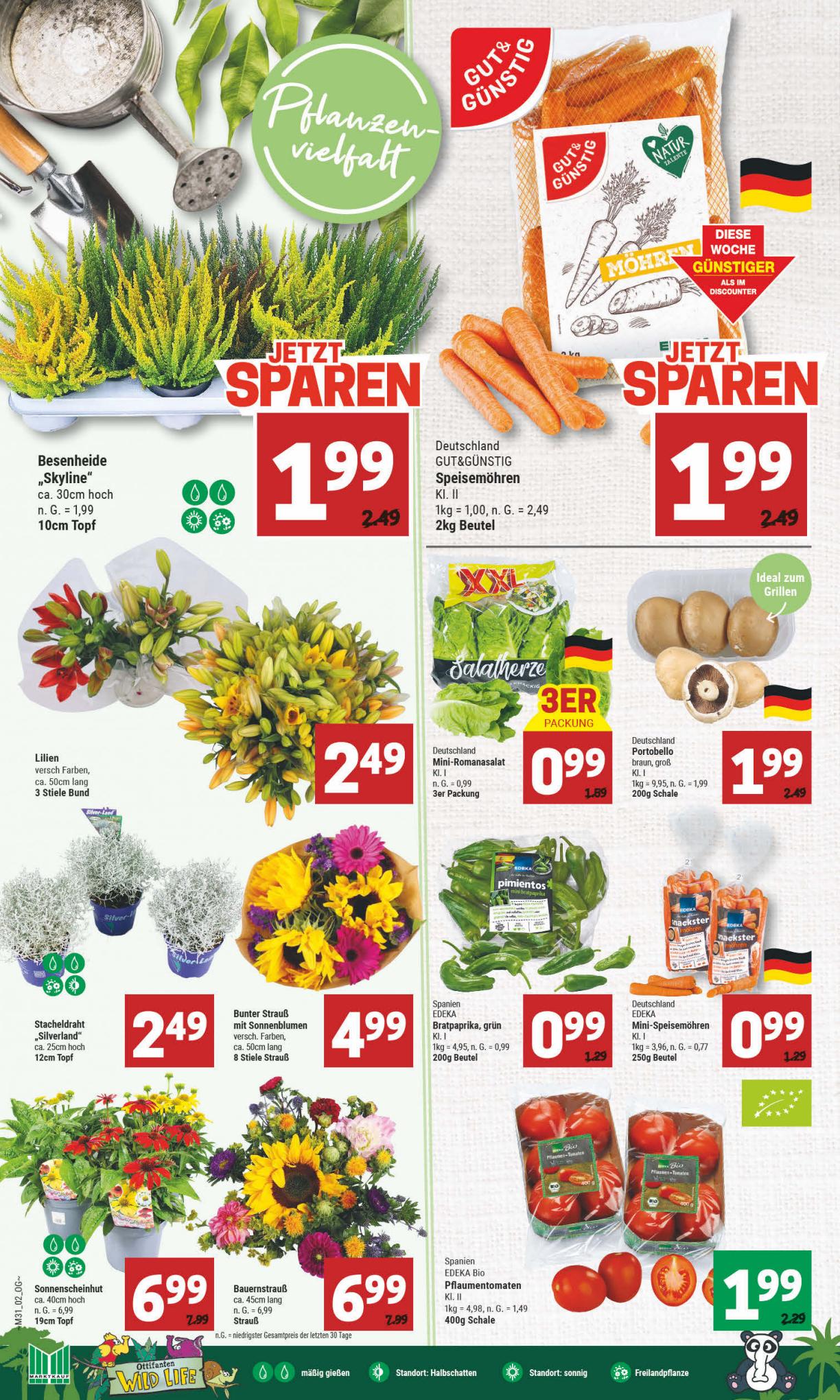 Marktkauf Prospekt 31 Juli – 5 August 2023 Seite 2