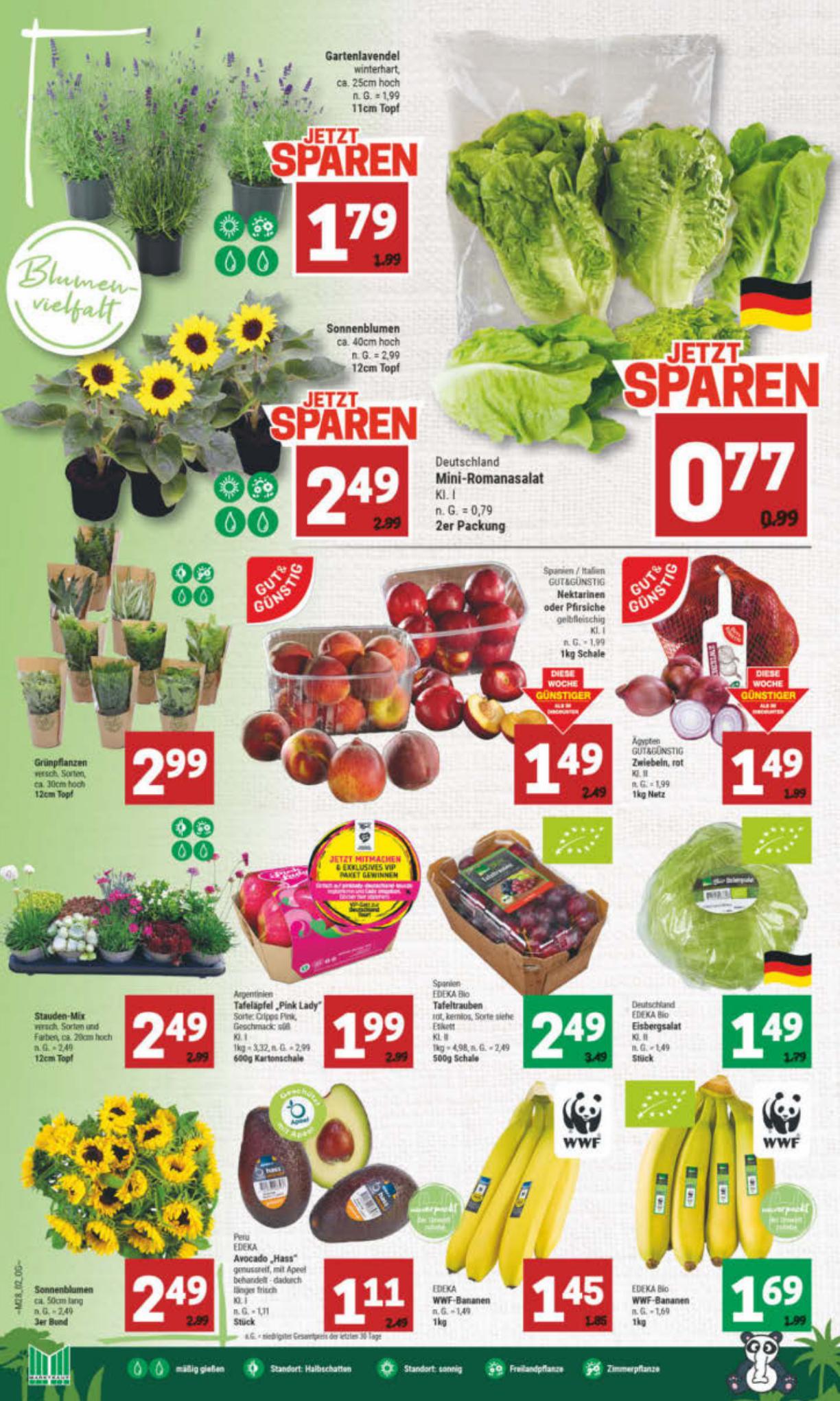 Marktkauf Prospekt 9 – 12 Juli 2023 Seite 2