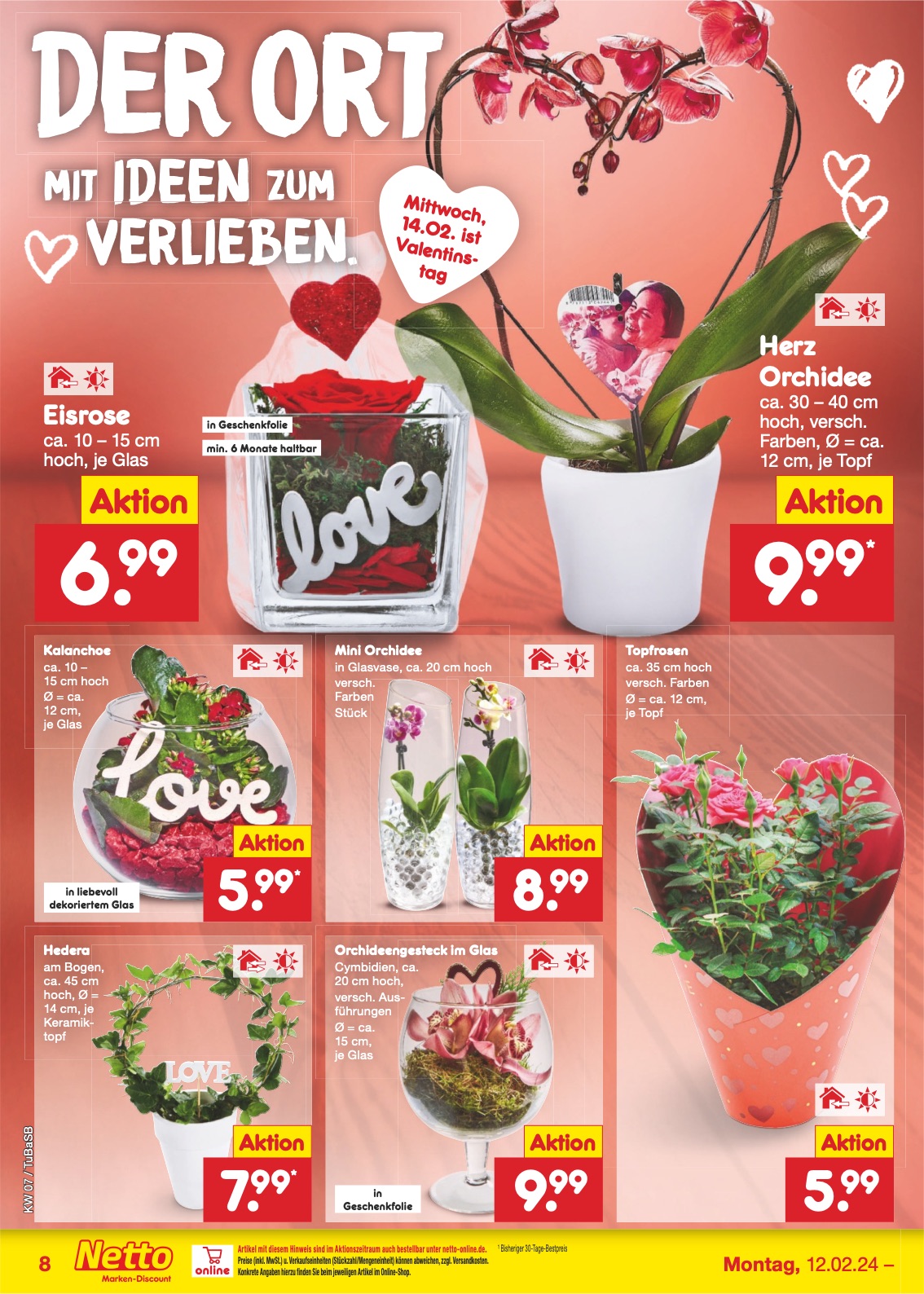 Netto Prospekt Lörrach-Brombach 12 – 17 Feb 2024 Seite 8