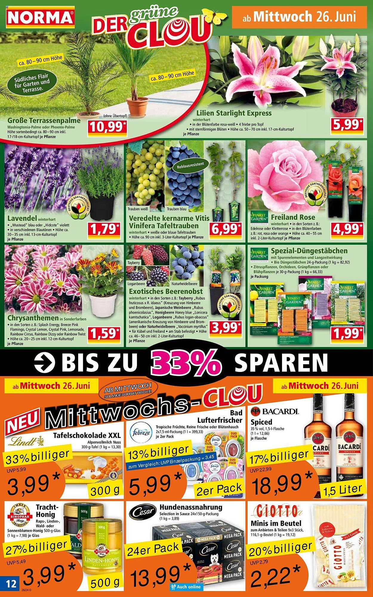 Norma Prospekt 24 – 29 Juni 2024 Seite 12