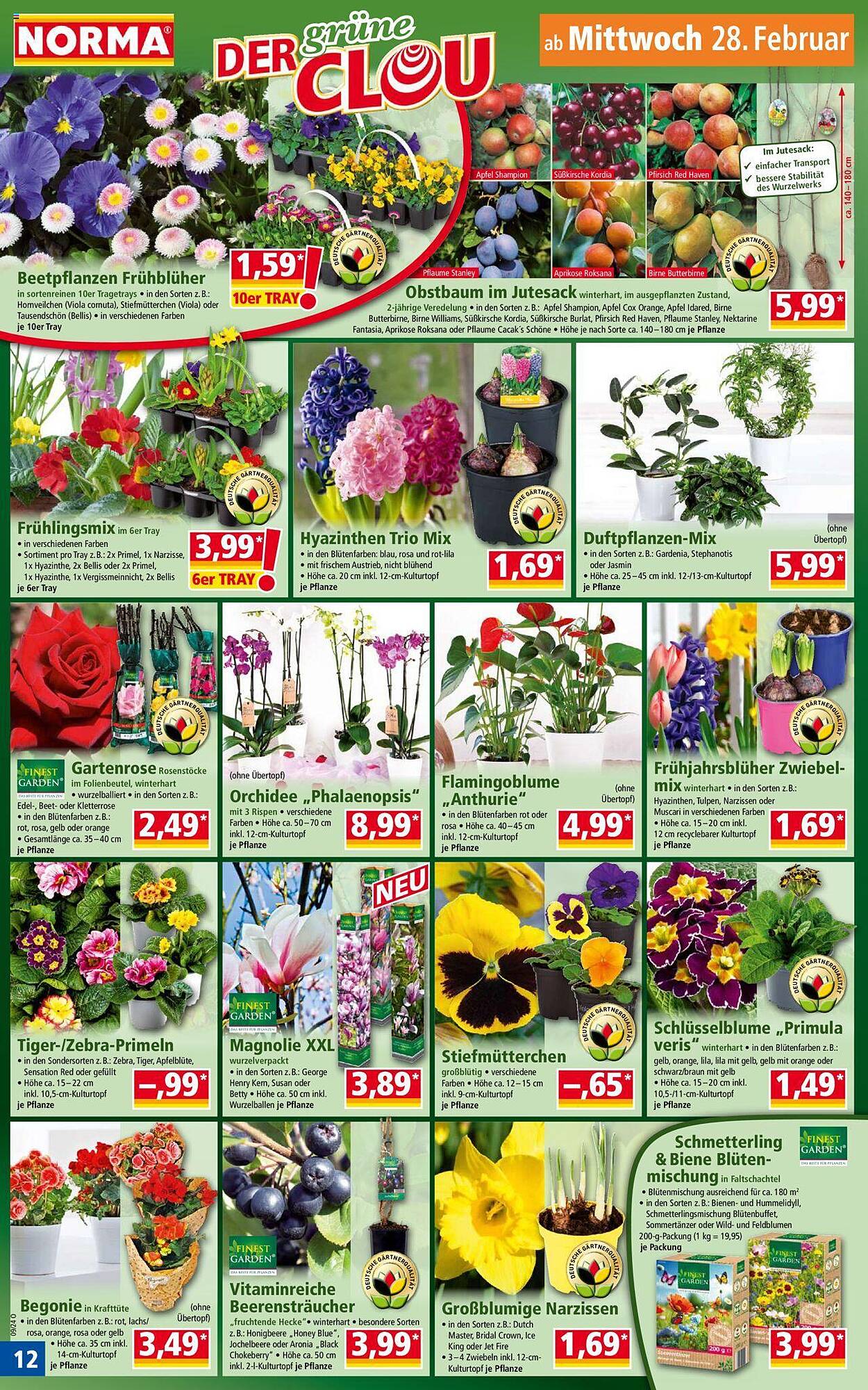 Norma Prospekt 26 Feb – 2 Mar 2024 Seite 12
