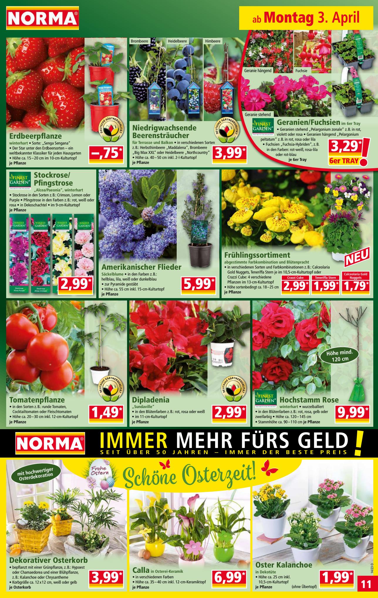 Norma Prospekt 27 März – 4 April 2023 Seite 11