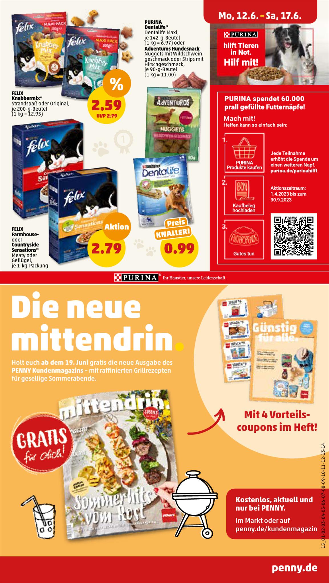 Penny Prospekt 12 – 17 Juni 2023 Seite 15