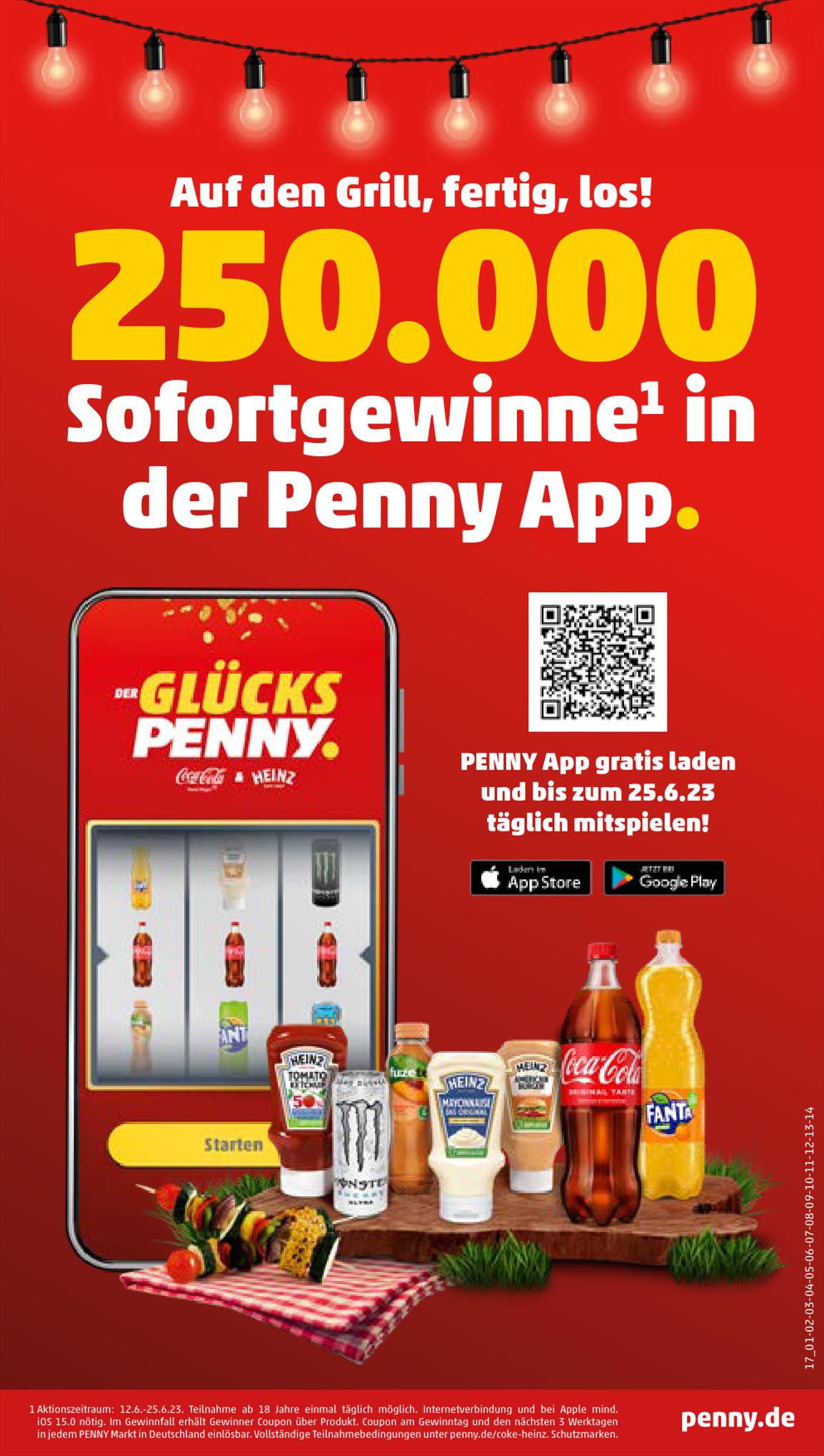 Penny Prospekt 12 – 17 Juni 2023 Seite 17