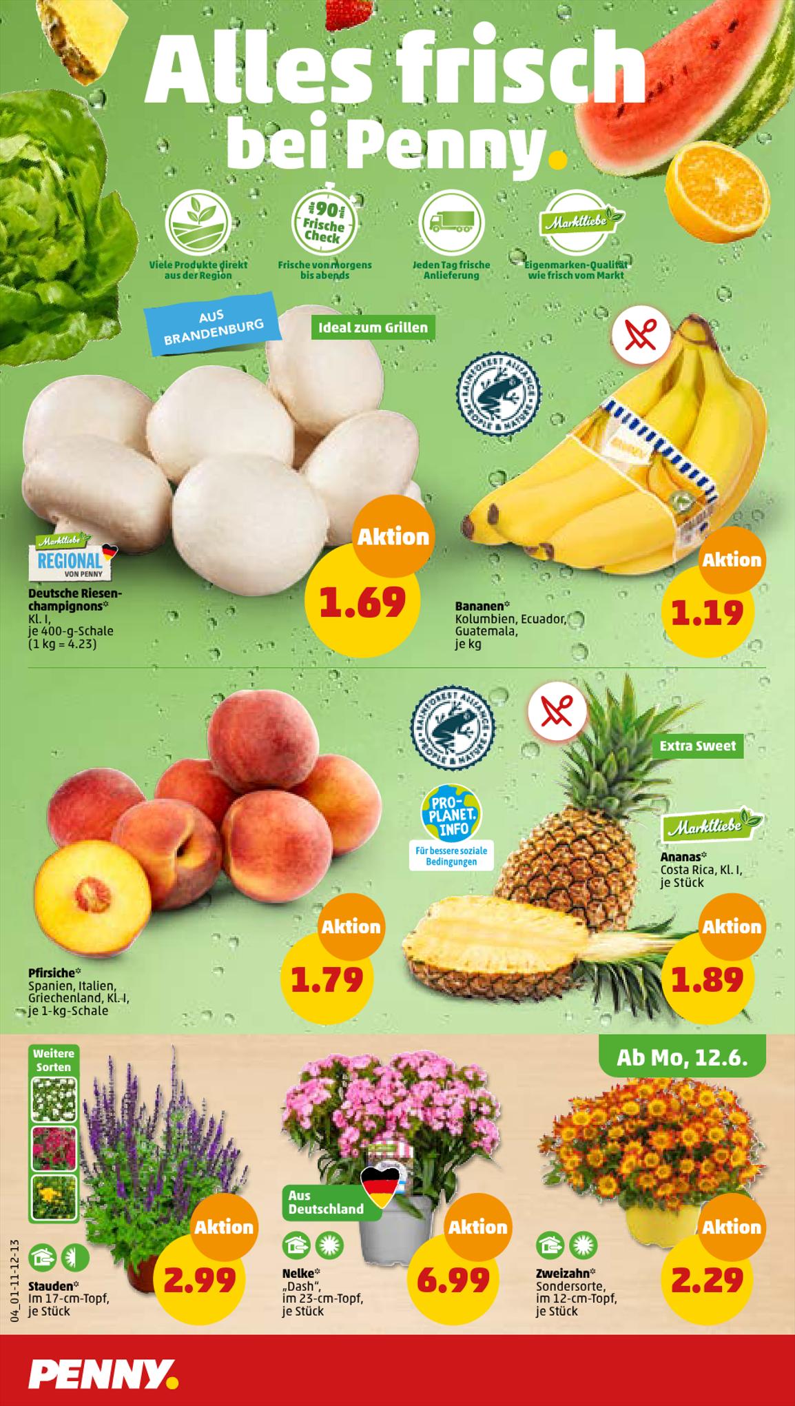 Penny Prospekt 12 – 17 Juni 2023 Seite 4