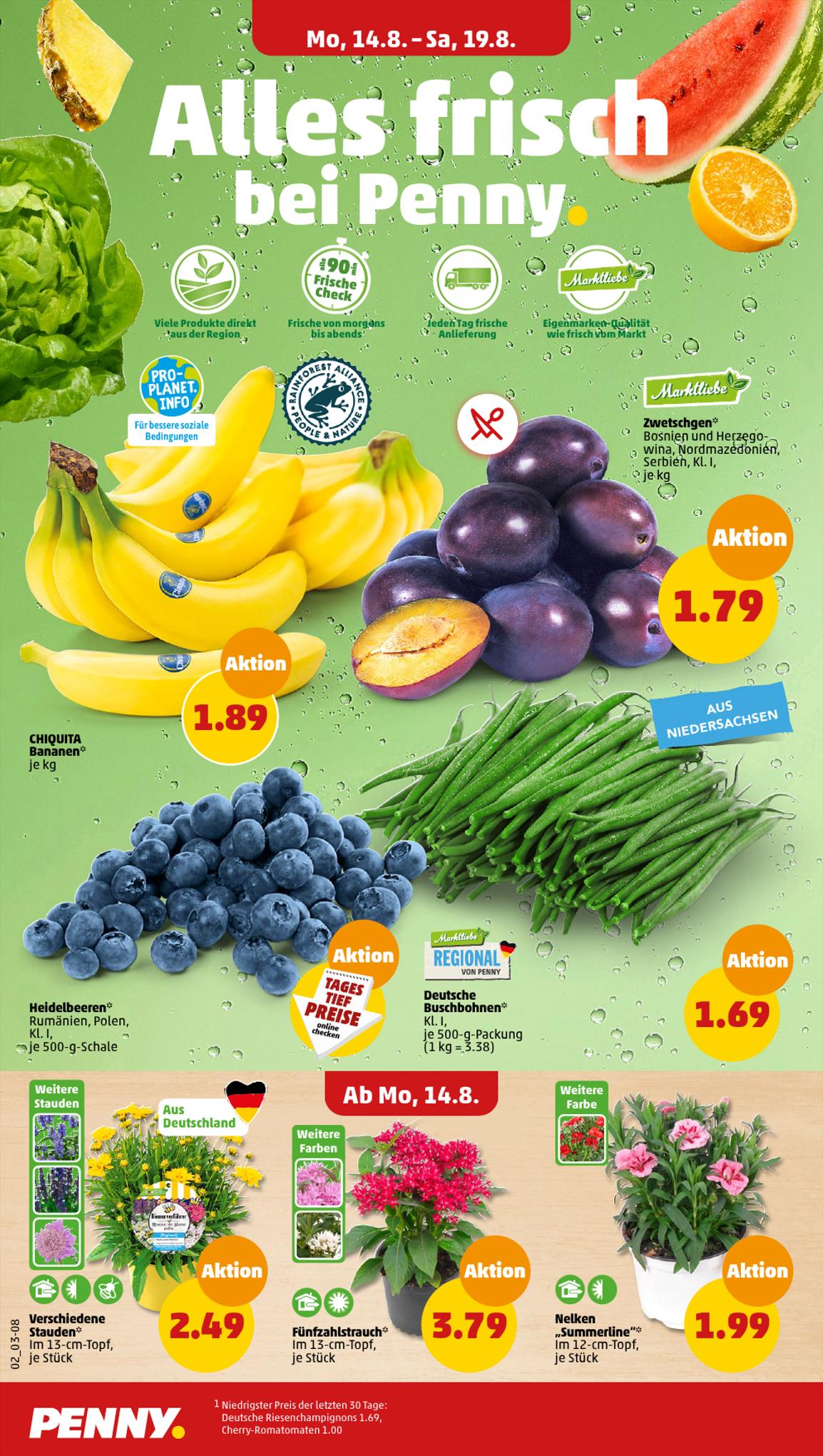 Penny Prospekt 14 – 19 August 2023 Seite 2