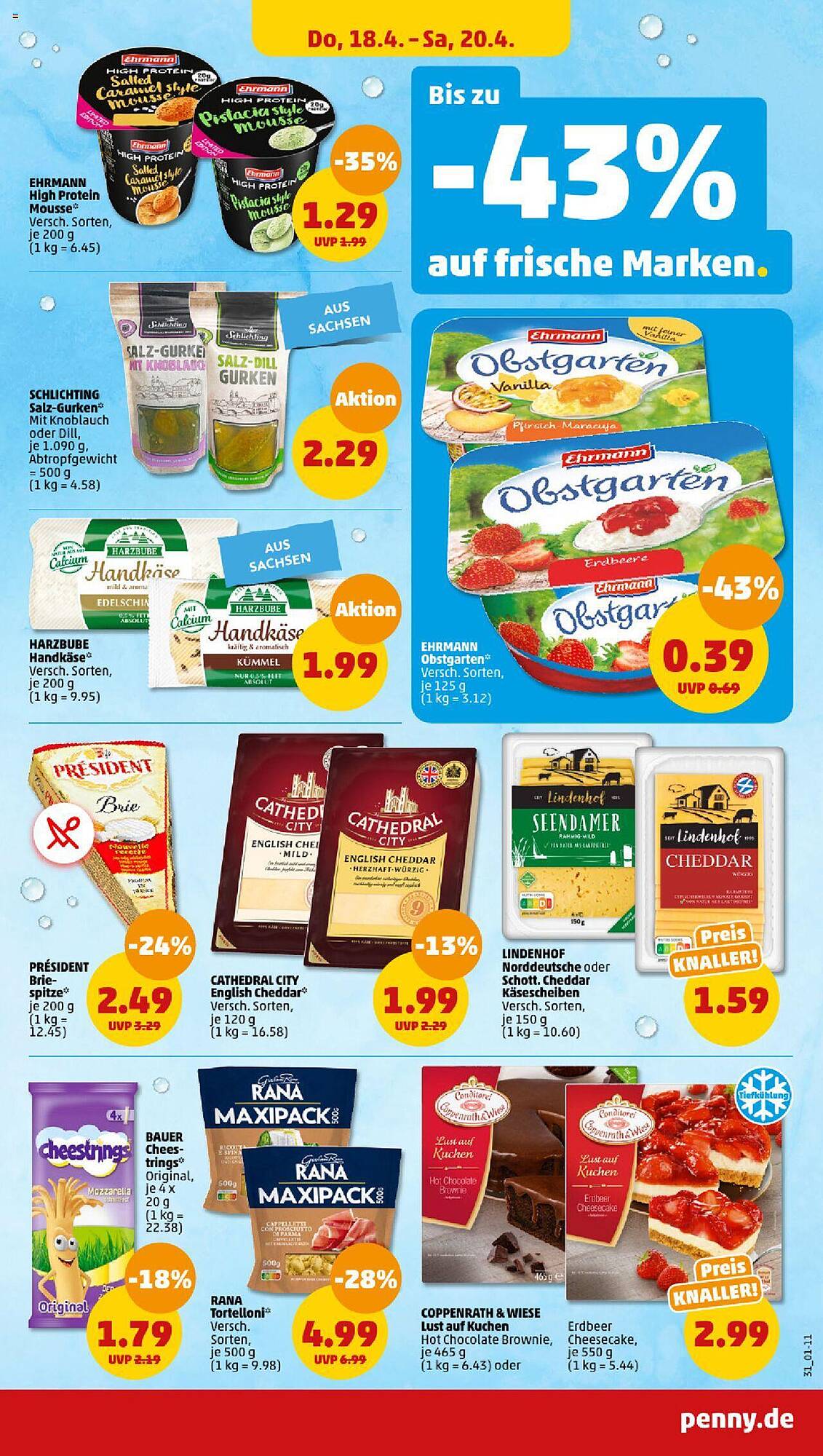 Penny Prospekt 15 – 20 April 2024 Seite 31