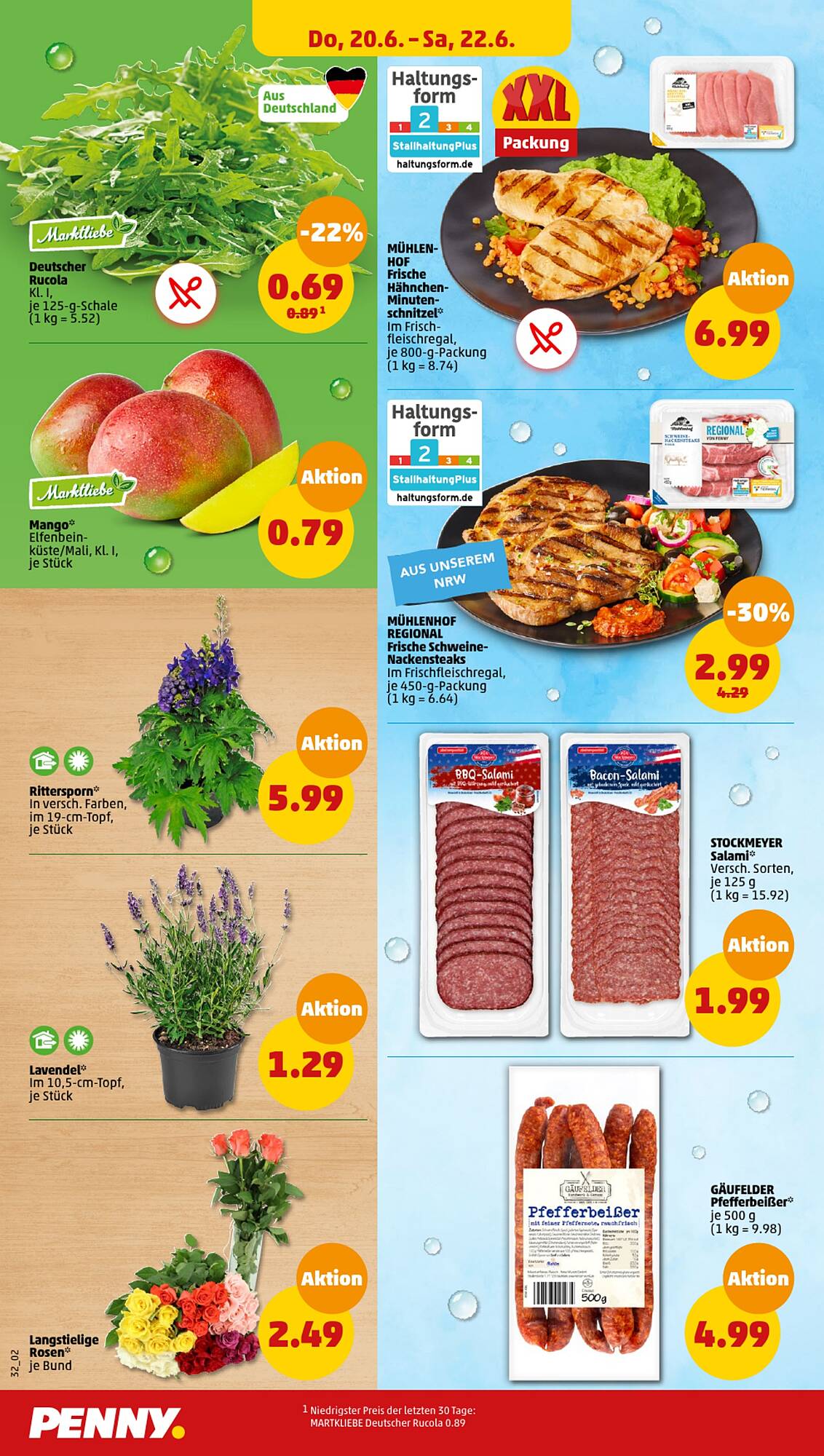 Penny Prospekt 17 – 22 Juni 2024 Seite 32