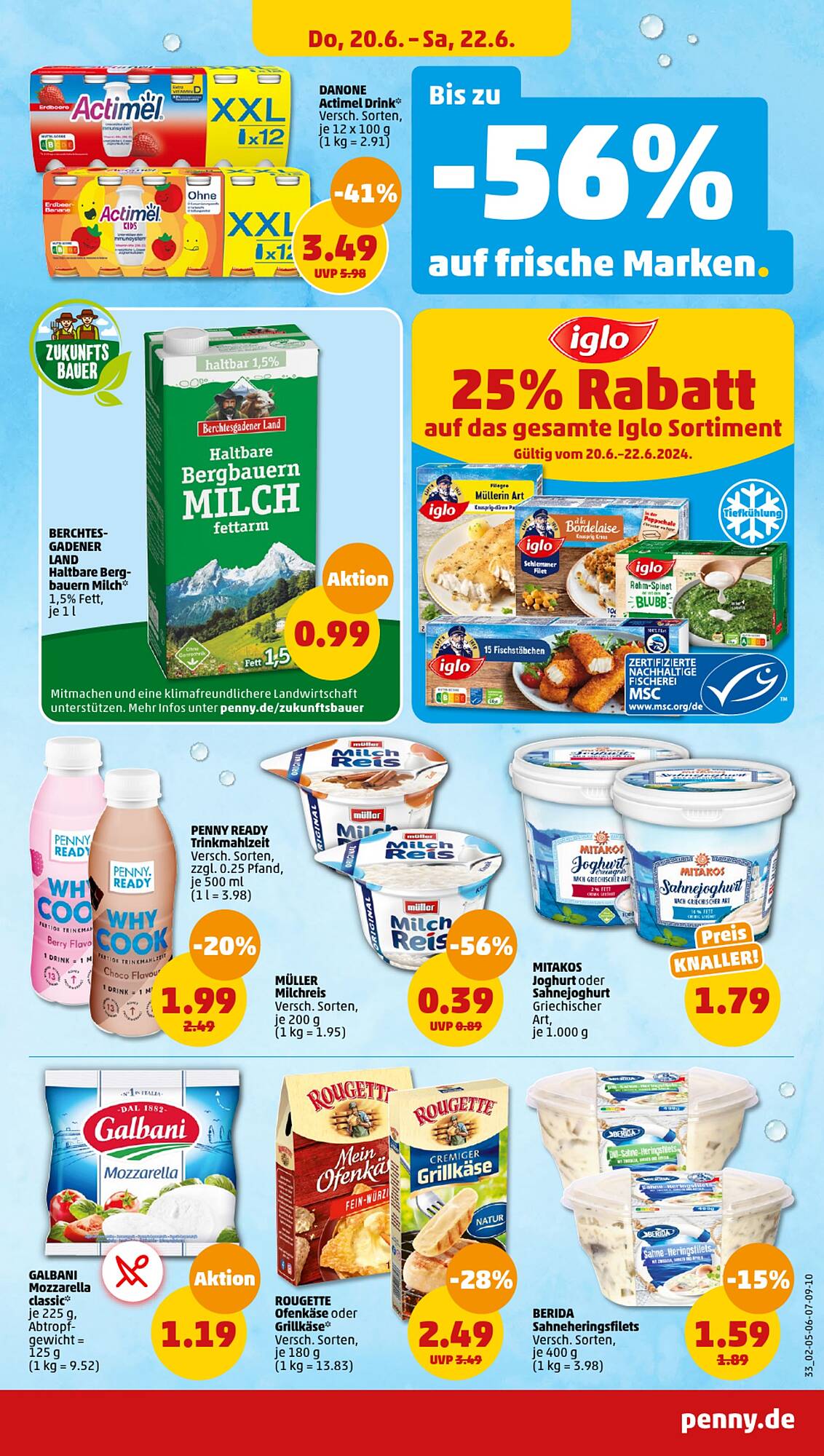 Penny Prospekt 17 – 22 Juni 2024 Seite 33