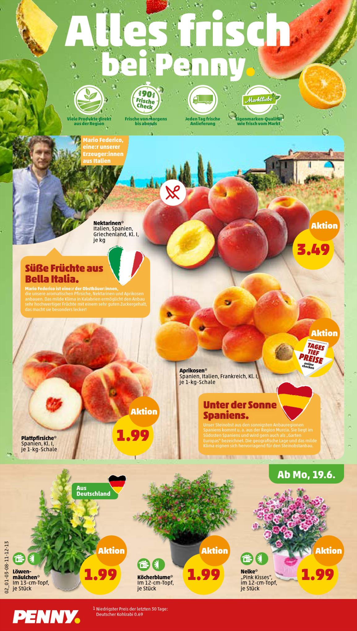 Penny Prospekt 19 – 24 Juni 2023 Seite 2
