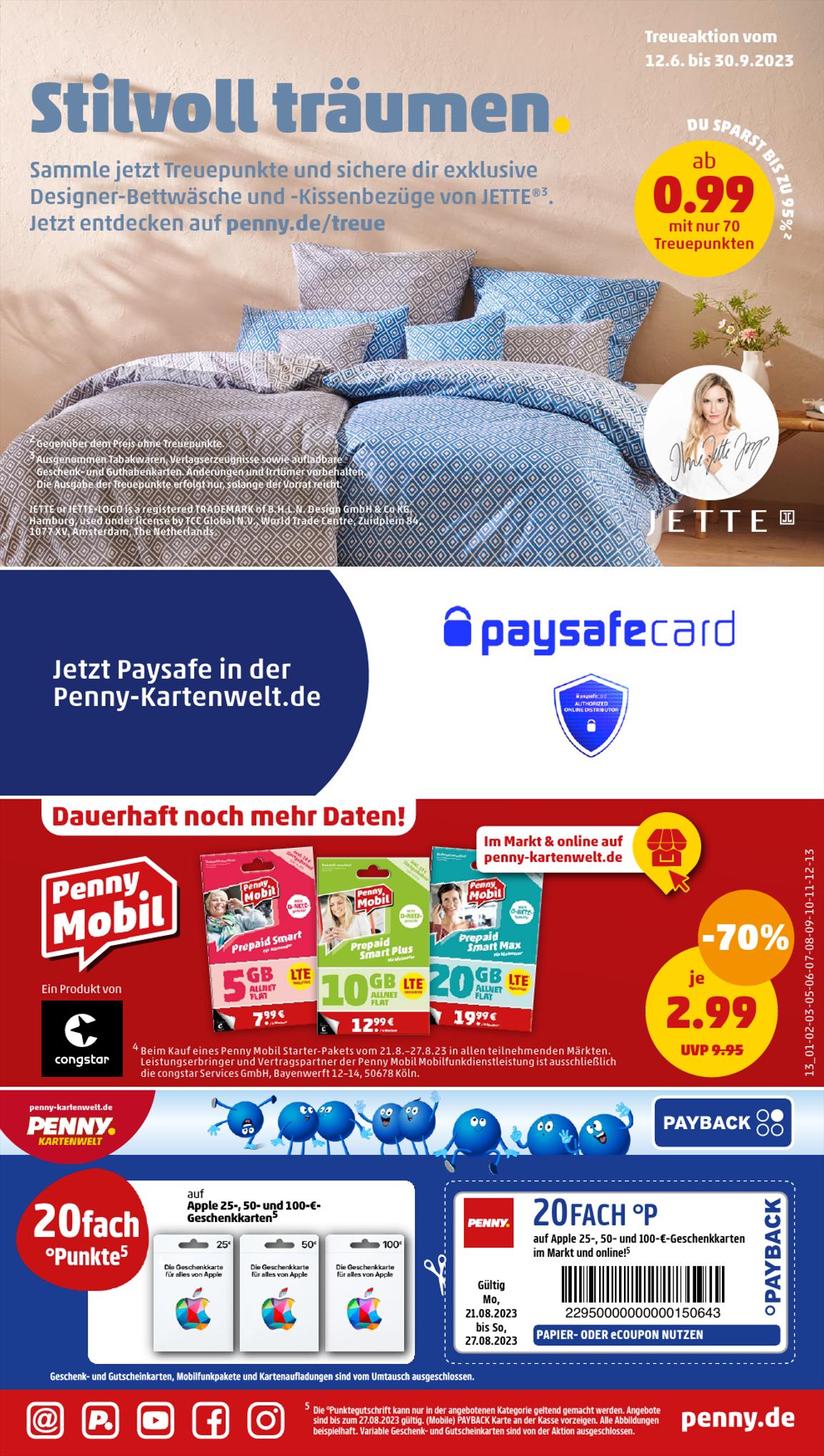 Penny Prospekt 21 – 26 August 2023 Seite 13
