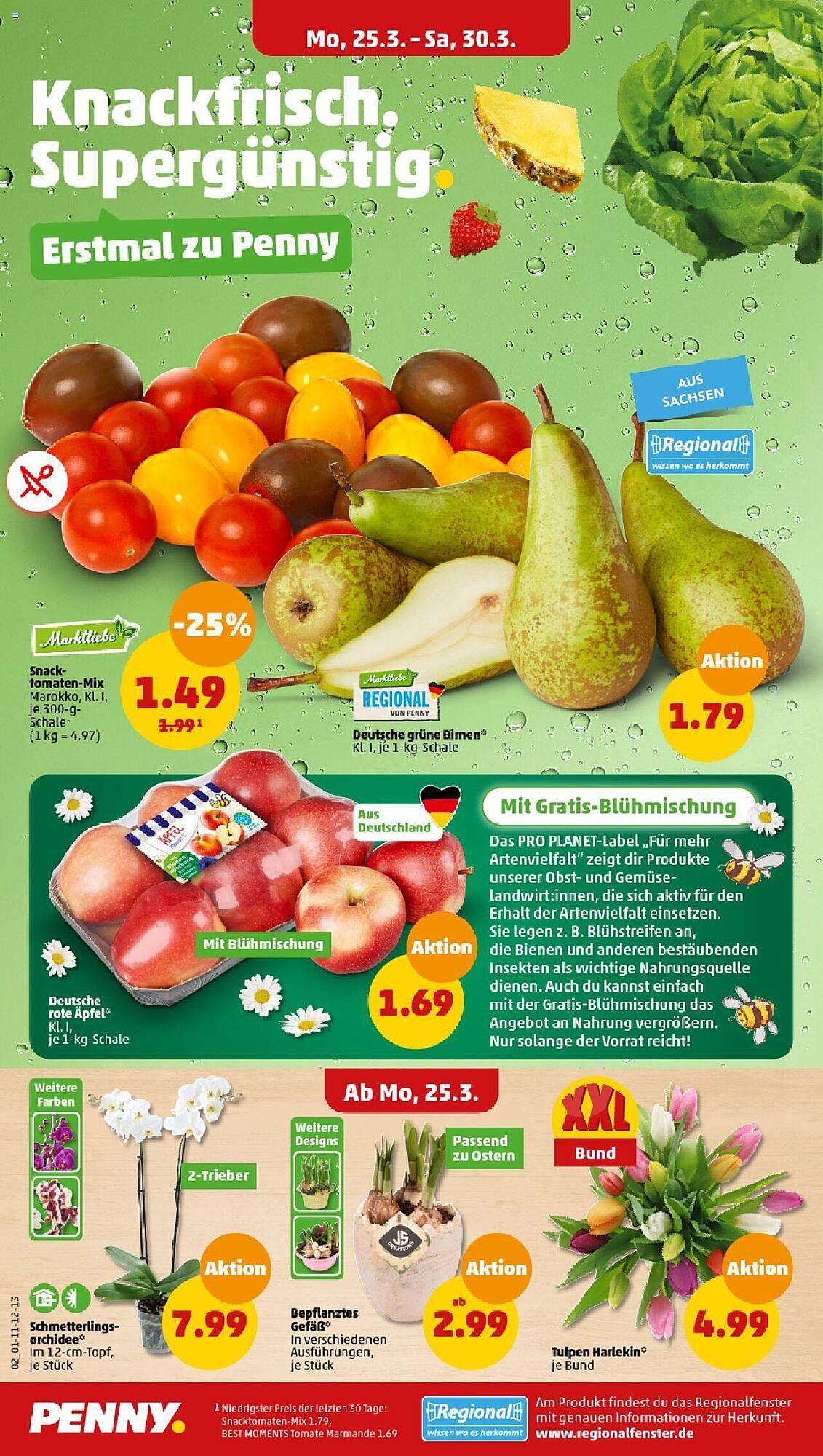 Penny Prospekt 25 – 30 Marsch 2024 Seite 2