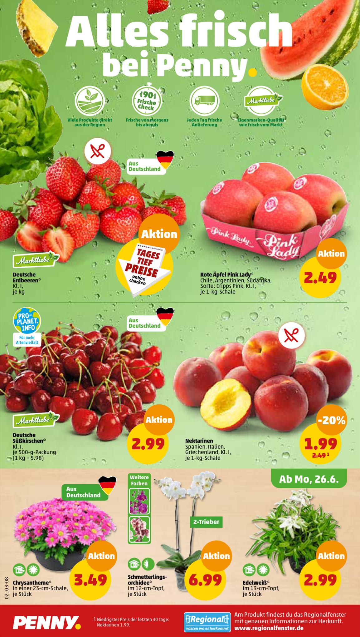 Penny Prospekt 26 Juni – 1 Juli 2023 Seite 2