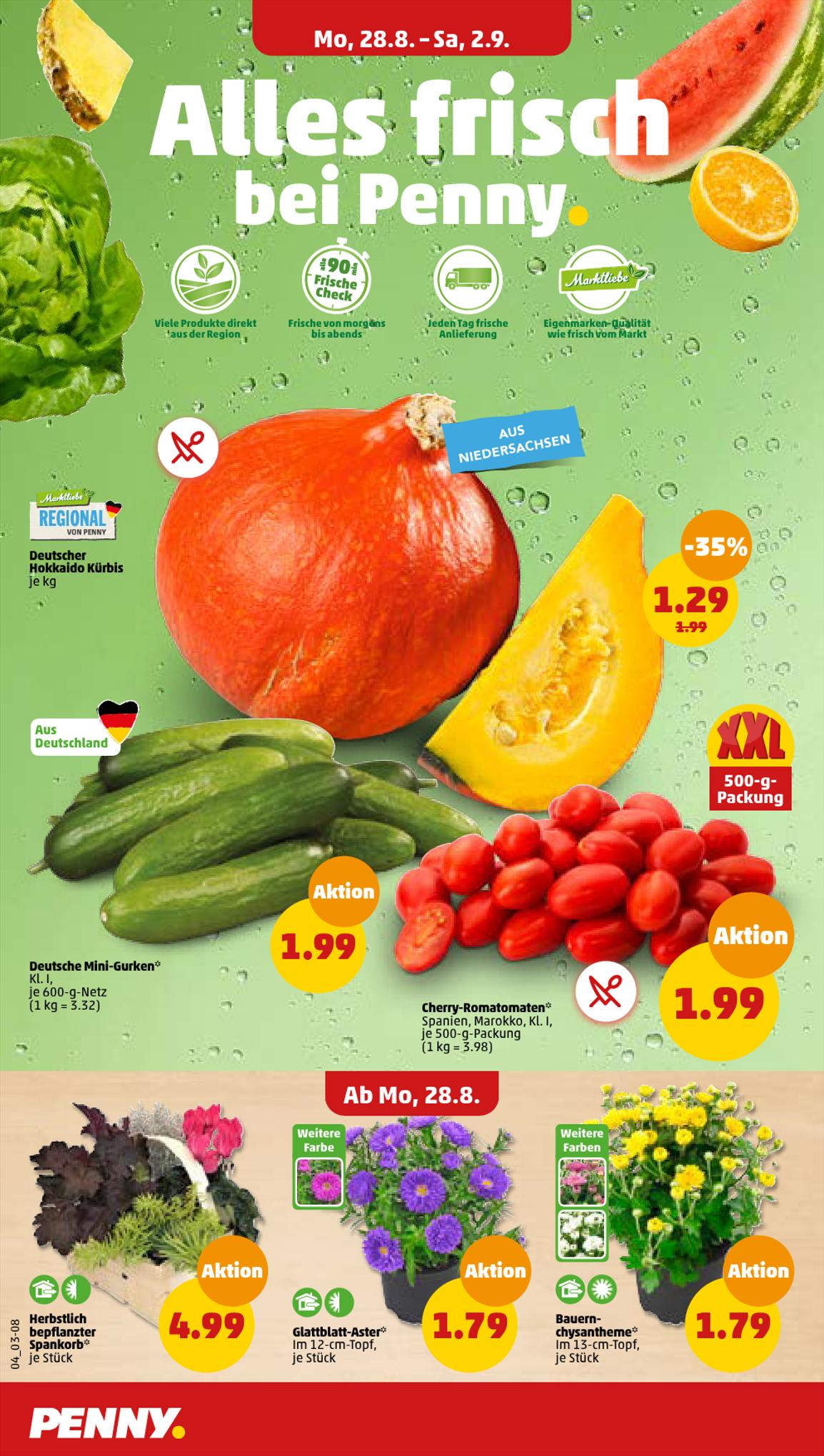 Penny Prospekt 28 August – 2 September 2023 Seite 4