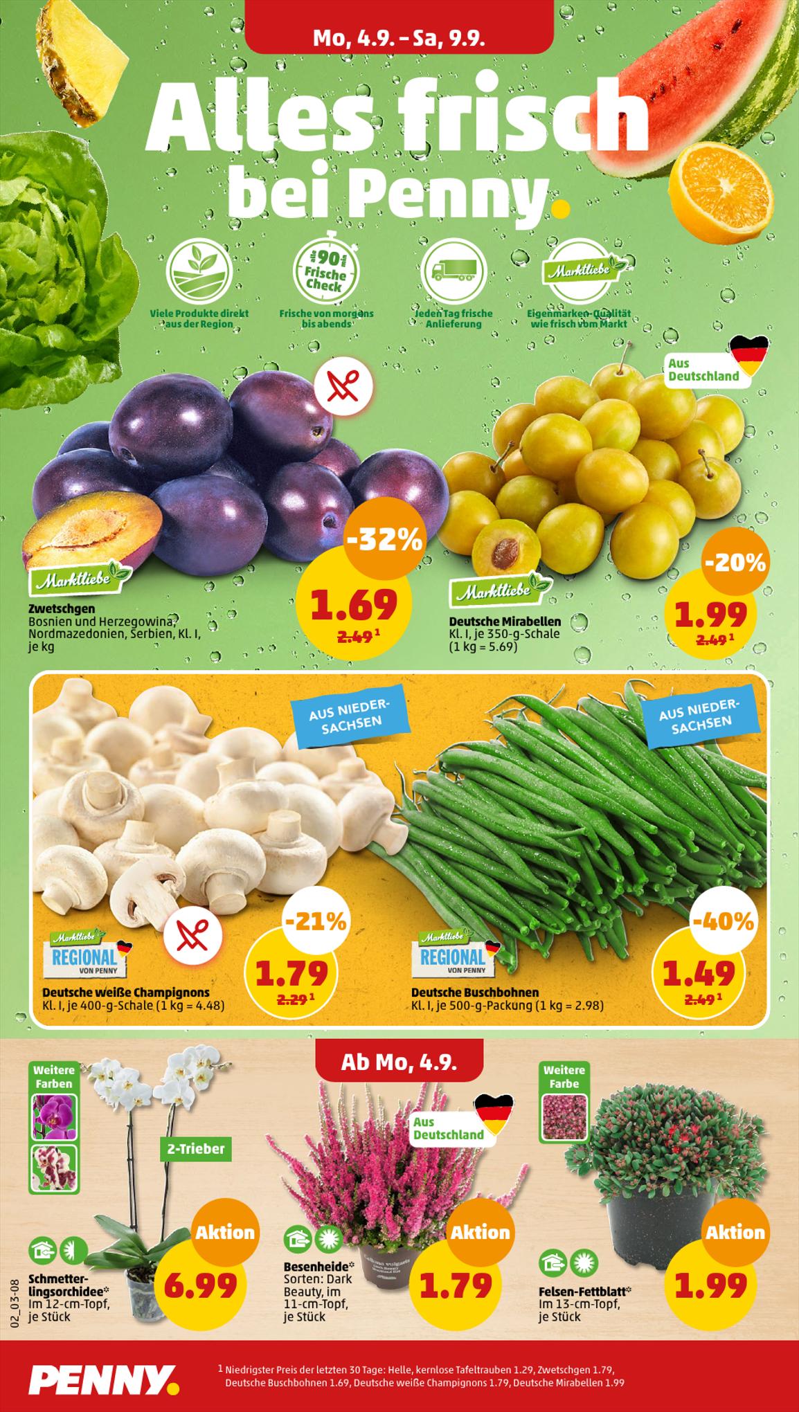 Penny Prospekt 4 – 9 September 2023 Seite 2