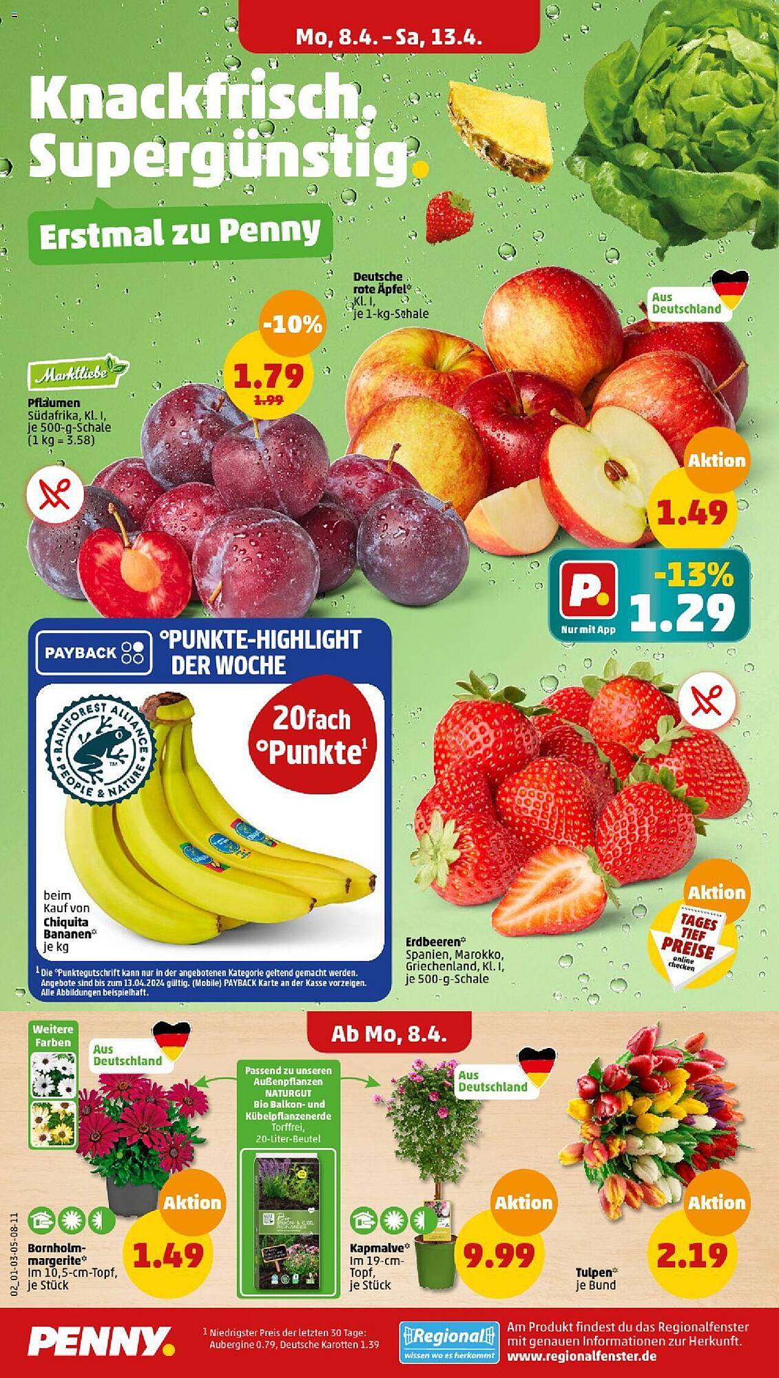 Penny Prospekt 8 – 13 April 2024 Seite 2
