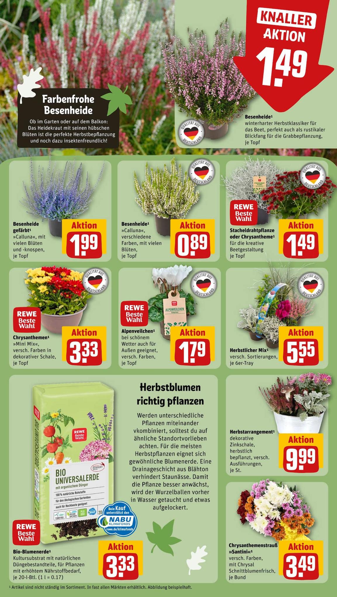 REWE Prospekt 1 – 7 October 2023 Seite 11