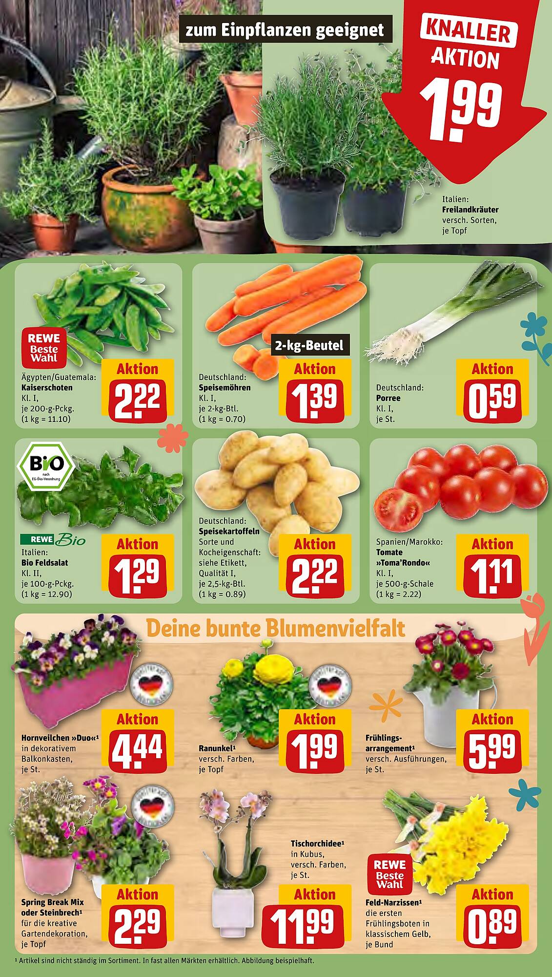 REWE Prospekt 11 – 16 Marsch 2024 Seite 5