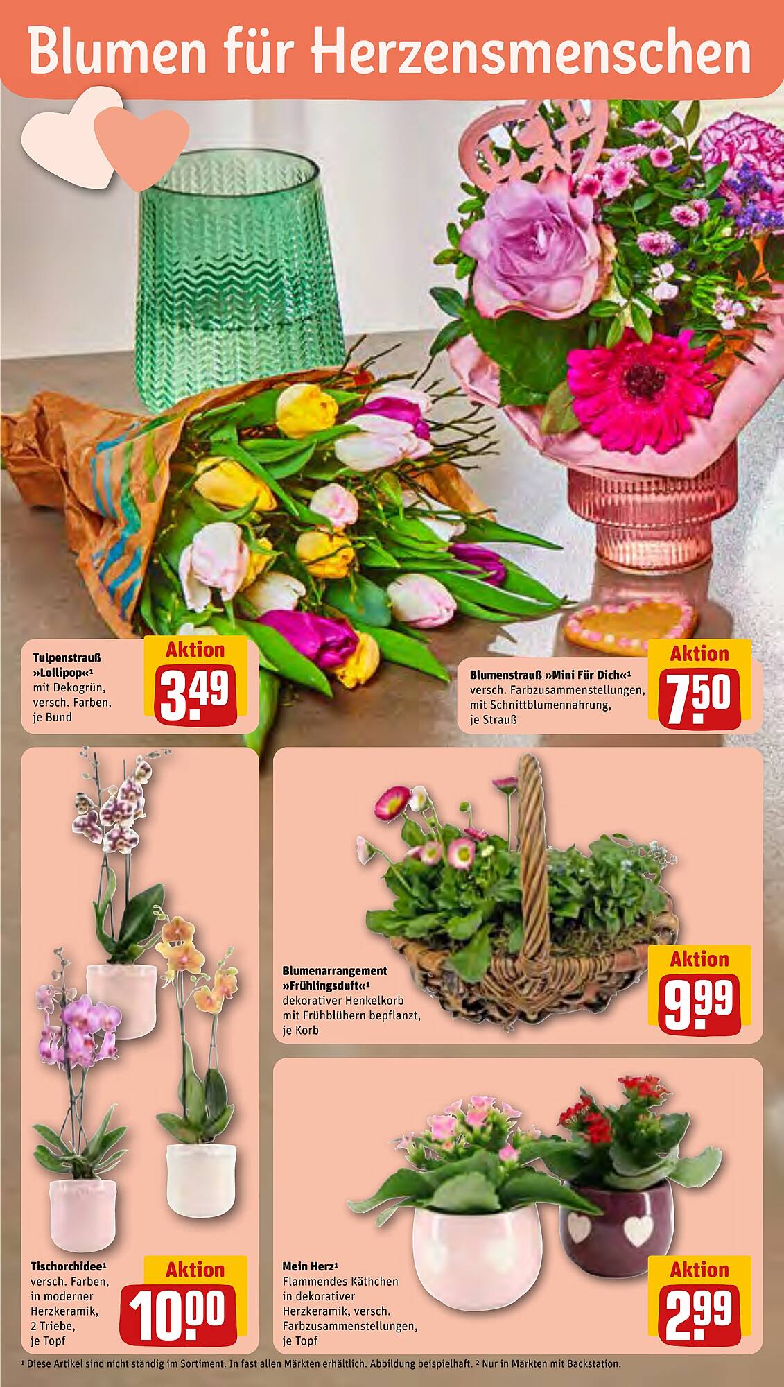 REWE Prospekt 12 – 17 Februar 2024 Seite 14