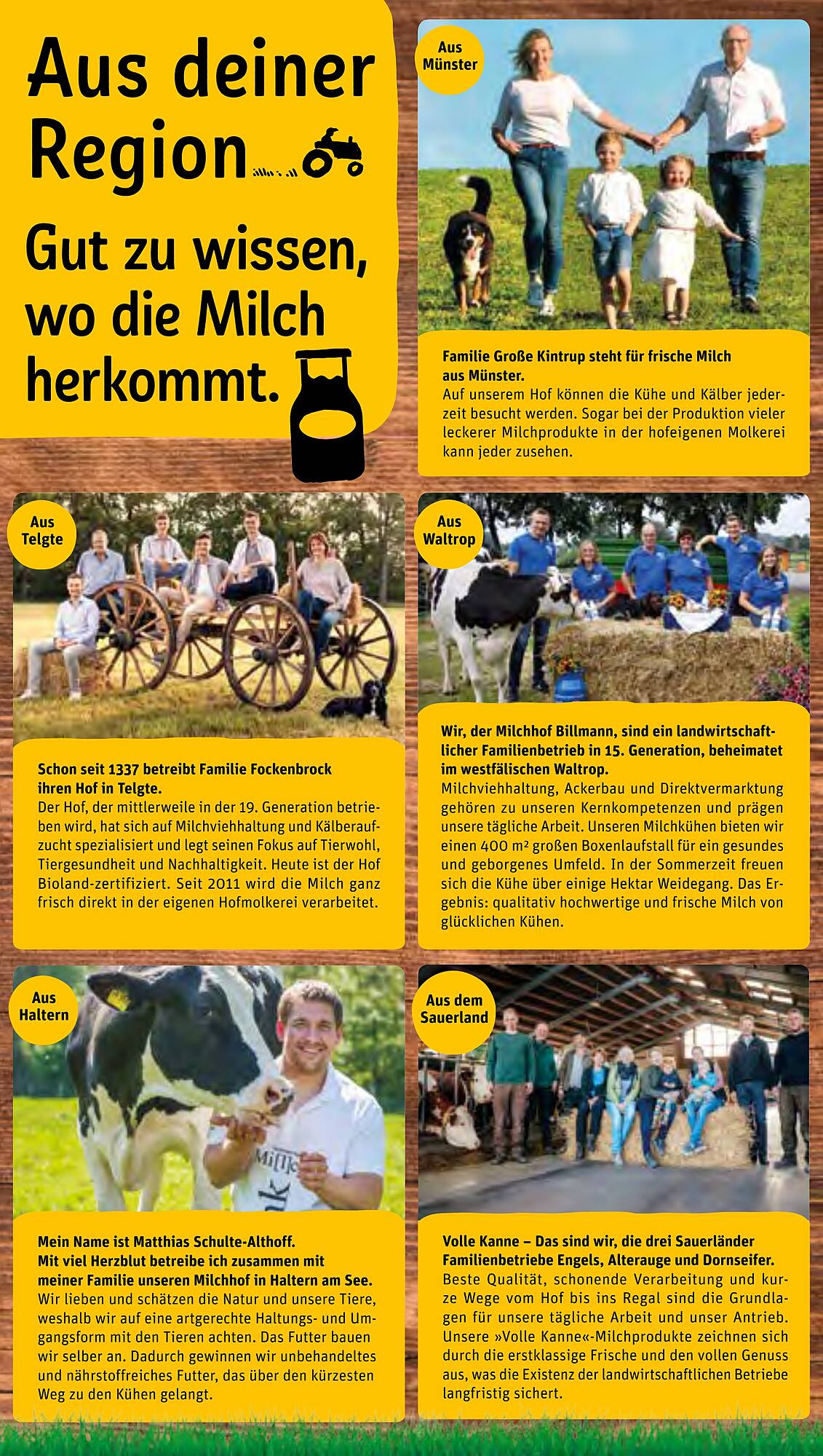 REWE Prospekt 12 – 17 Februar 2024 Seite 28