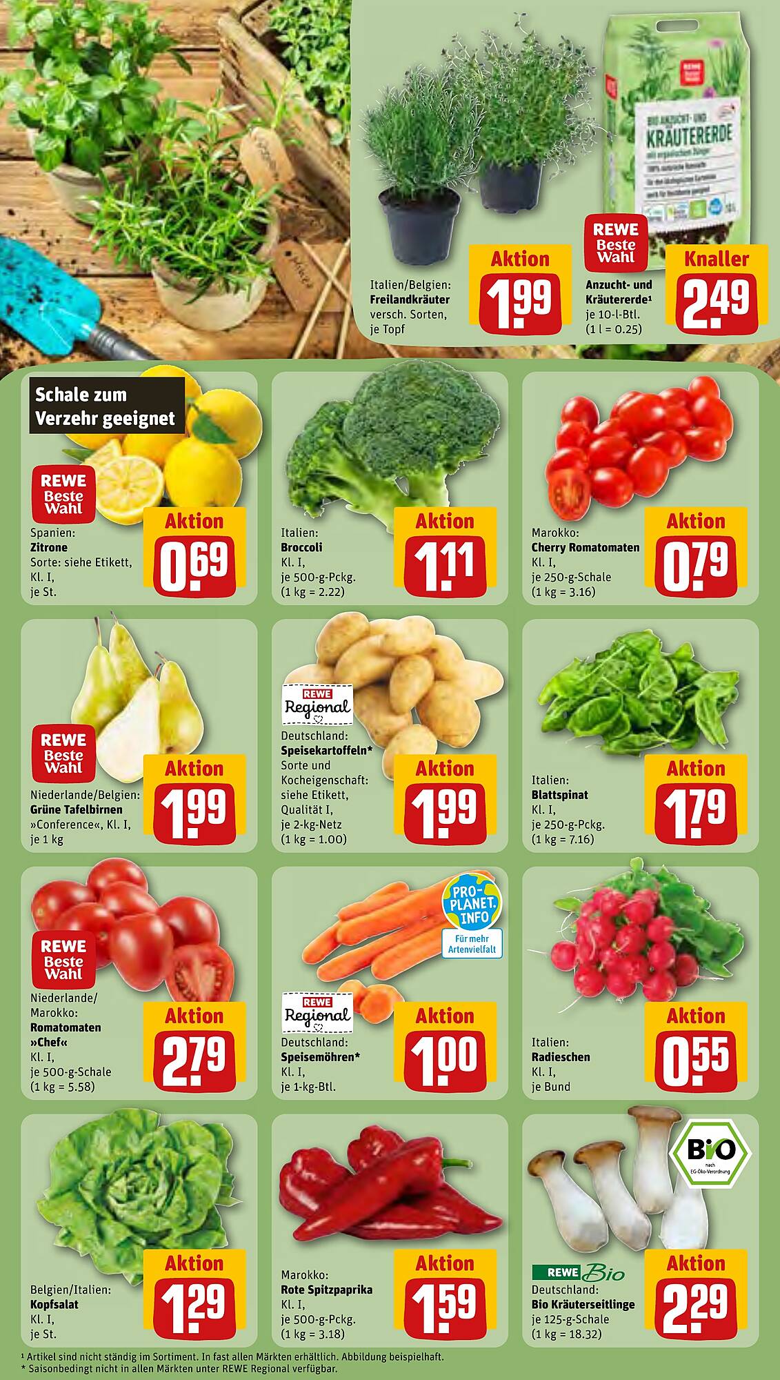 REWE Prospekt 12 – 17 Februar 2024 Seite 5