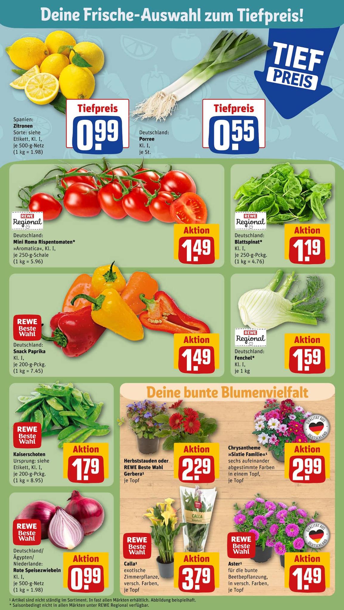 REWE Prospekt 13 – 19 August 2023 Seite 7