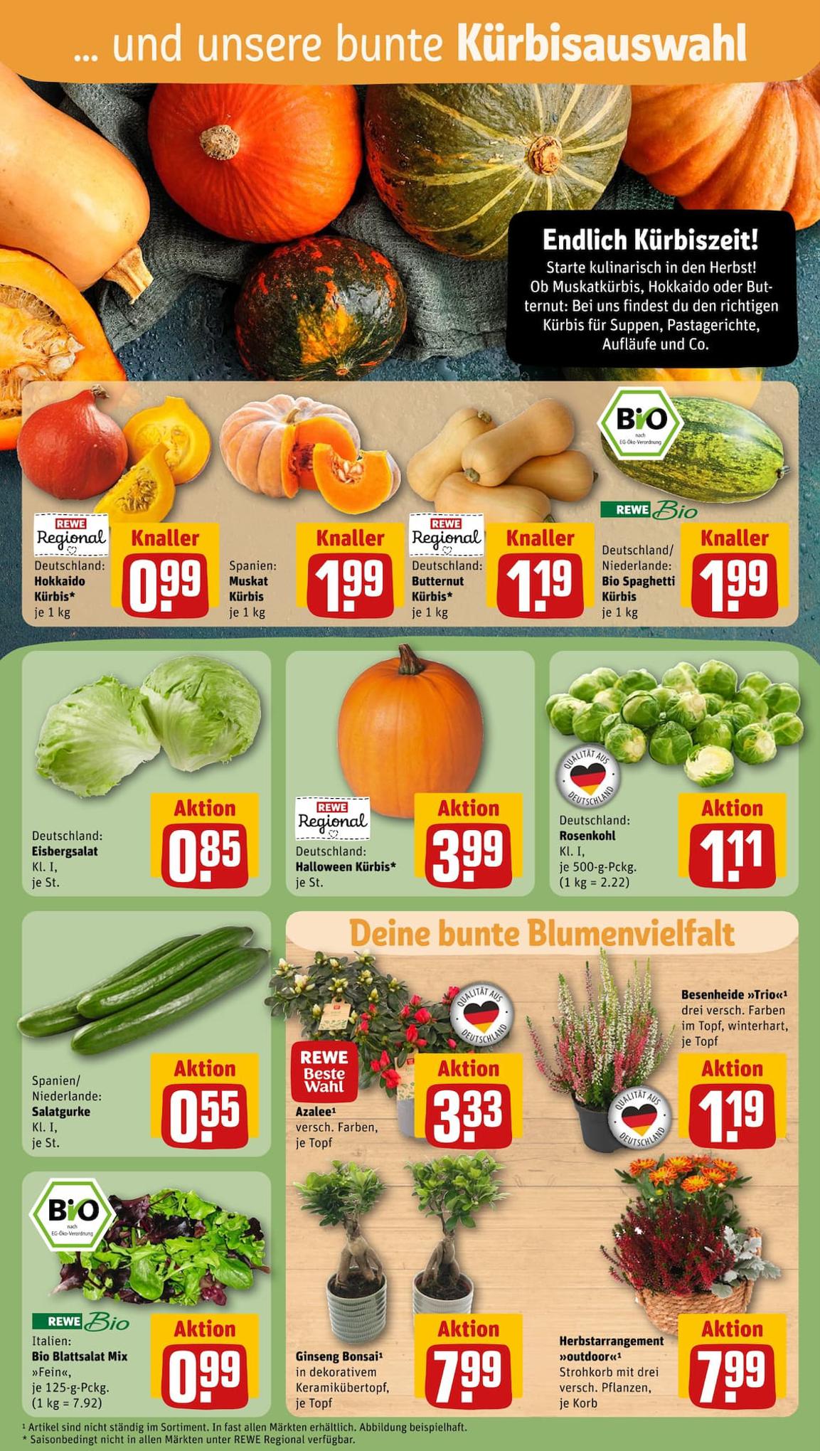 REWE Prospekt 15 – 21 October 2023 Seite 7