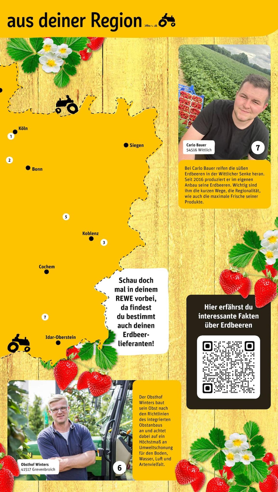 REWE Prospekt 18 – 24 Juni 2023 Seite 23