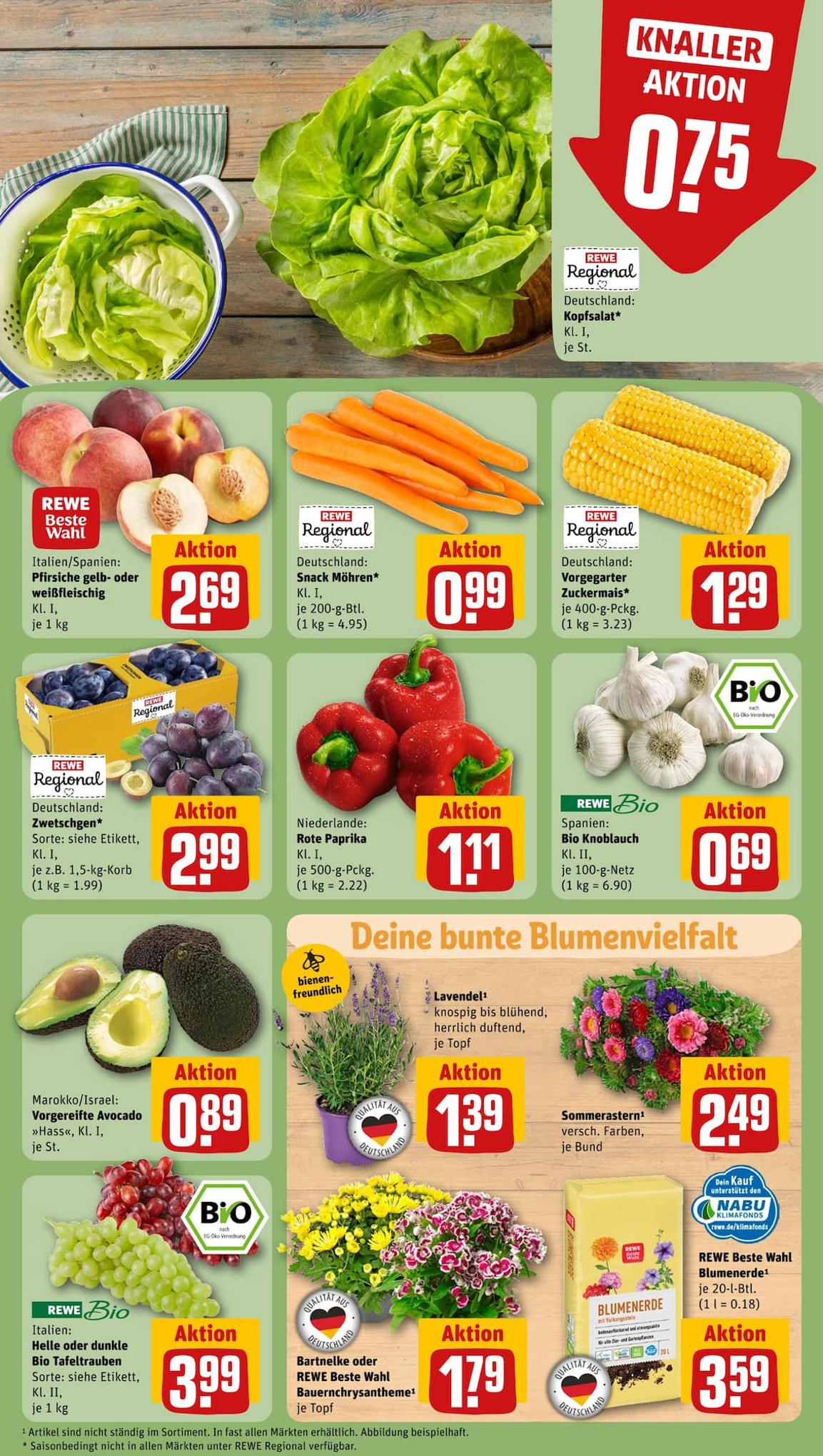 REWE Prospekt 20 – 26 August 2023 Seite 11