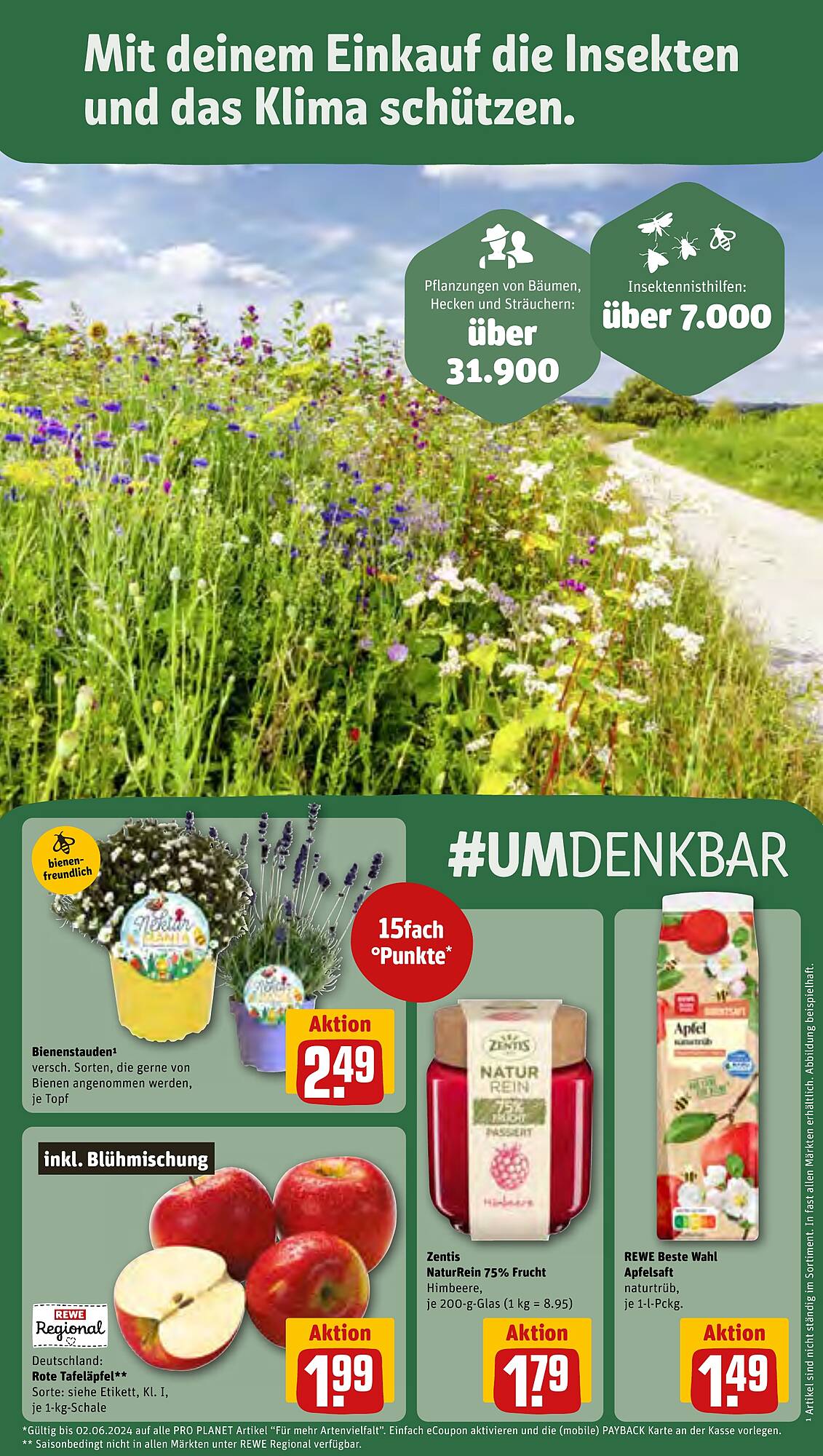 REWE Prospekt 21 – 25 Mai 2024 Seite 23