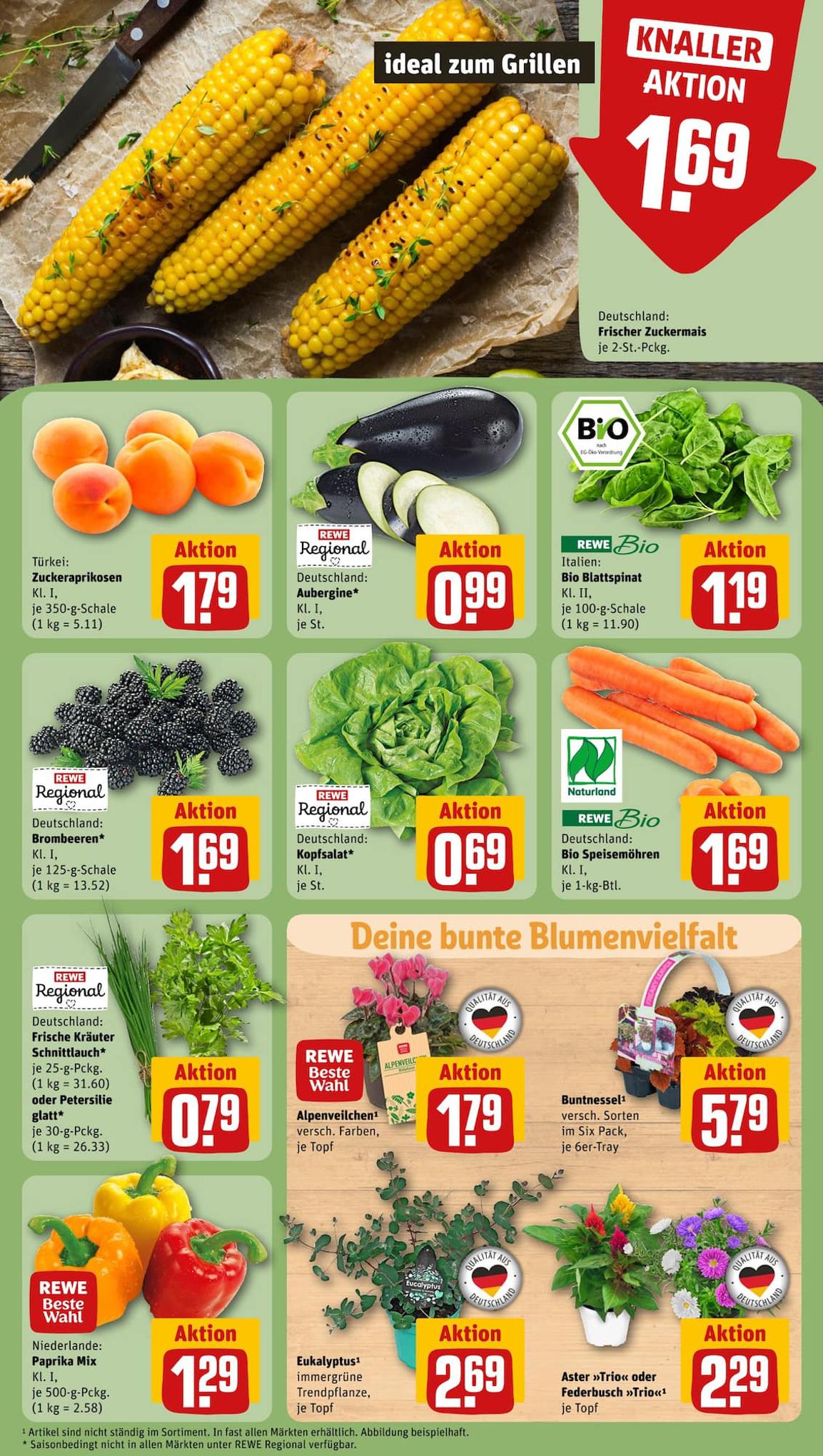 REWE Prospekt 23 – 29 Juli 2023 Seite 7