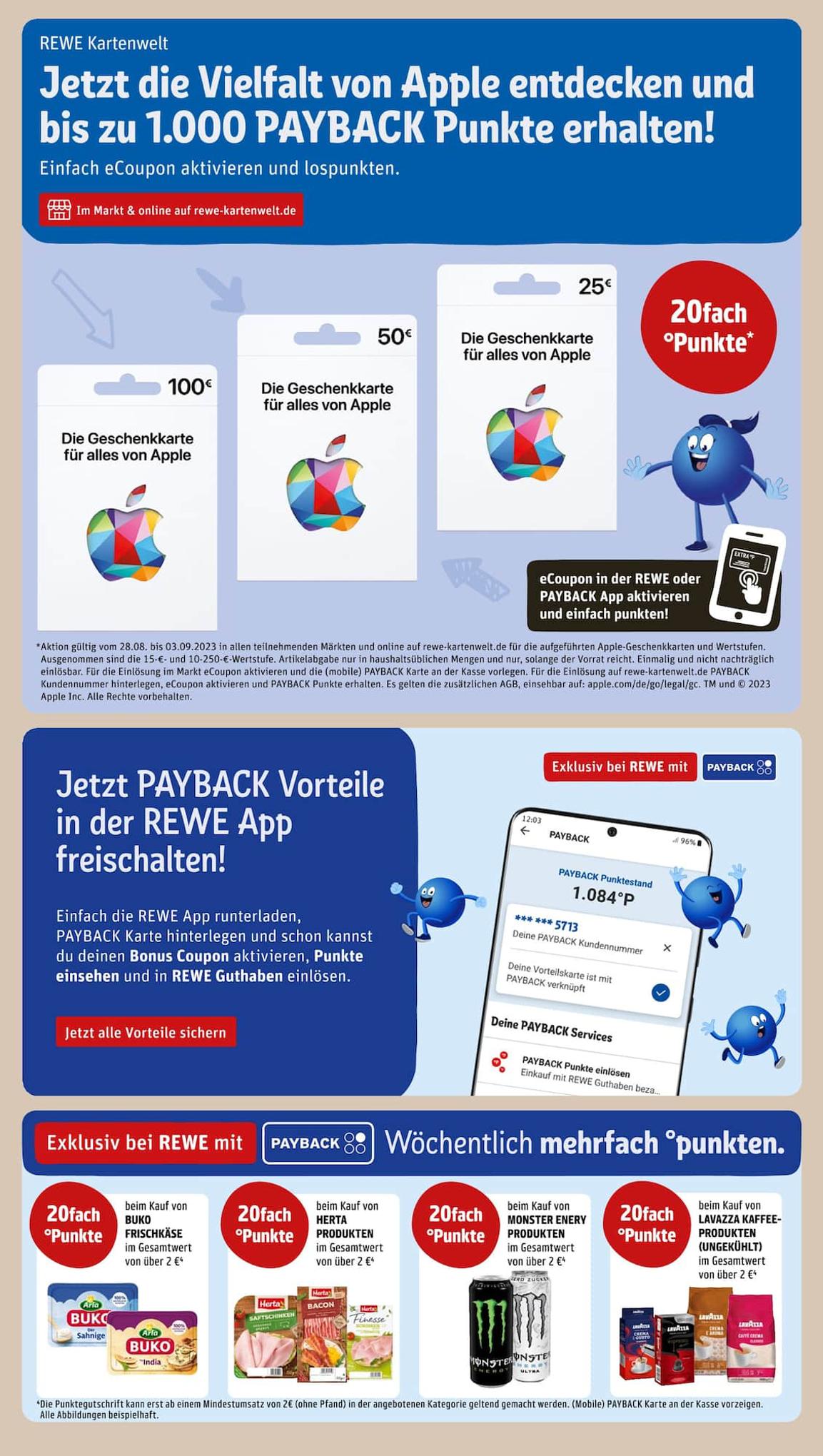 REWE Prospekt 27 August – 2 September 2023 Seite 19