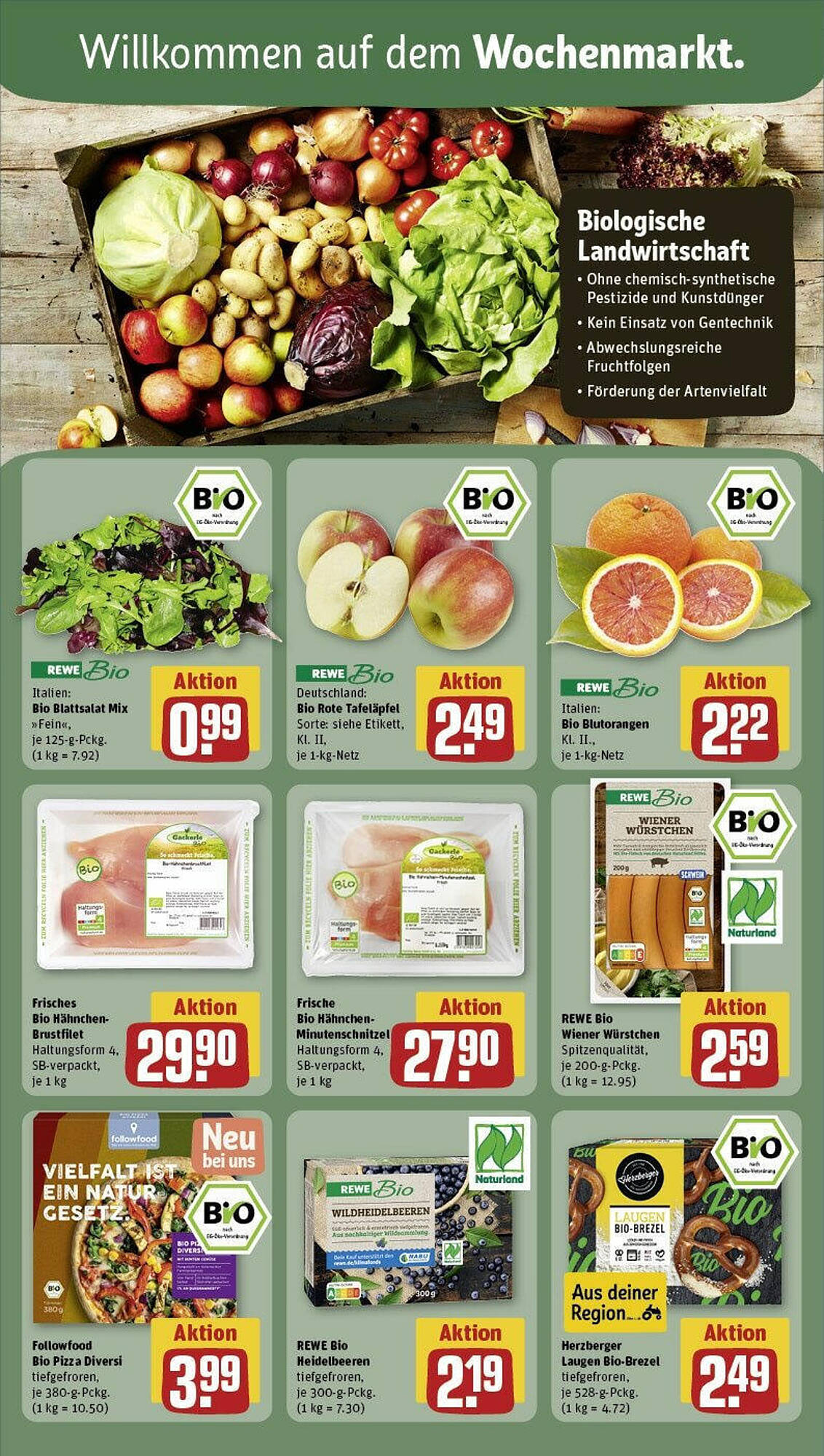 REWE Prospekt 28 Jan – 4 Feb 2024 Seite 17