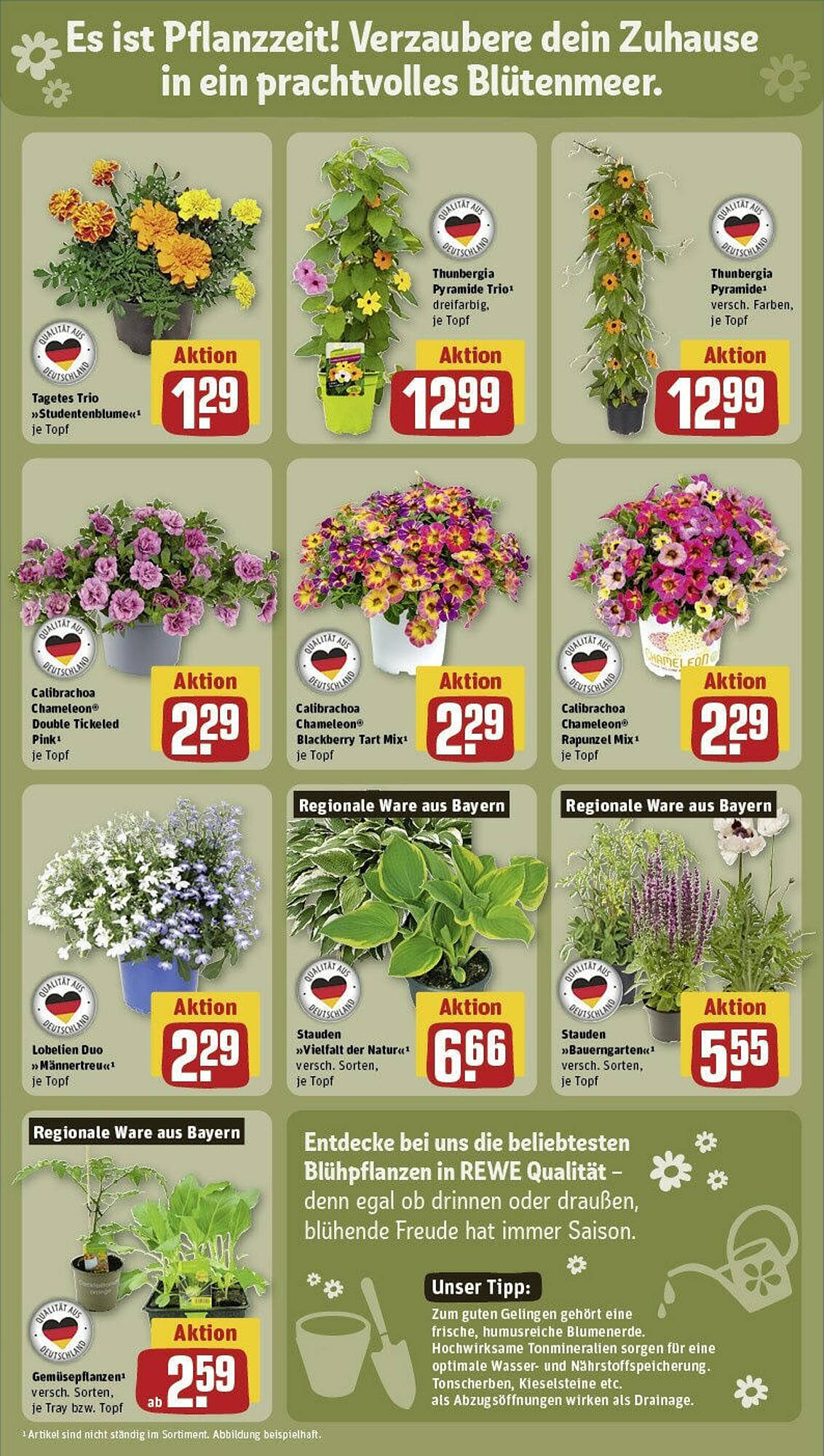 REWE Prospekt 6 – 12 Mai 2024 Seite 11