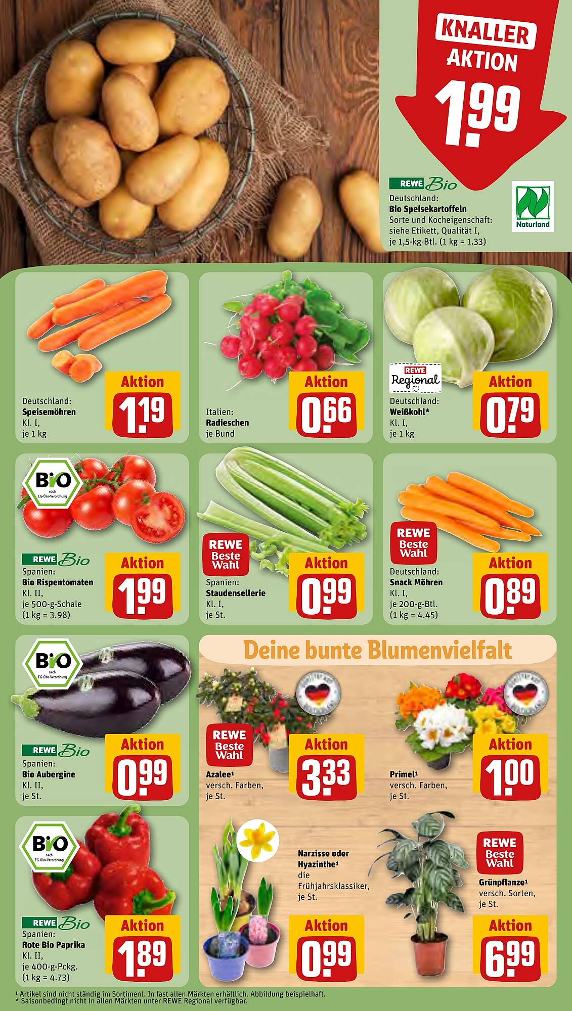 REWE Prospekt 8 – 13 Januar 2024 Seite 5