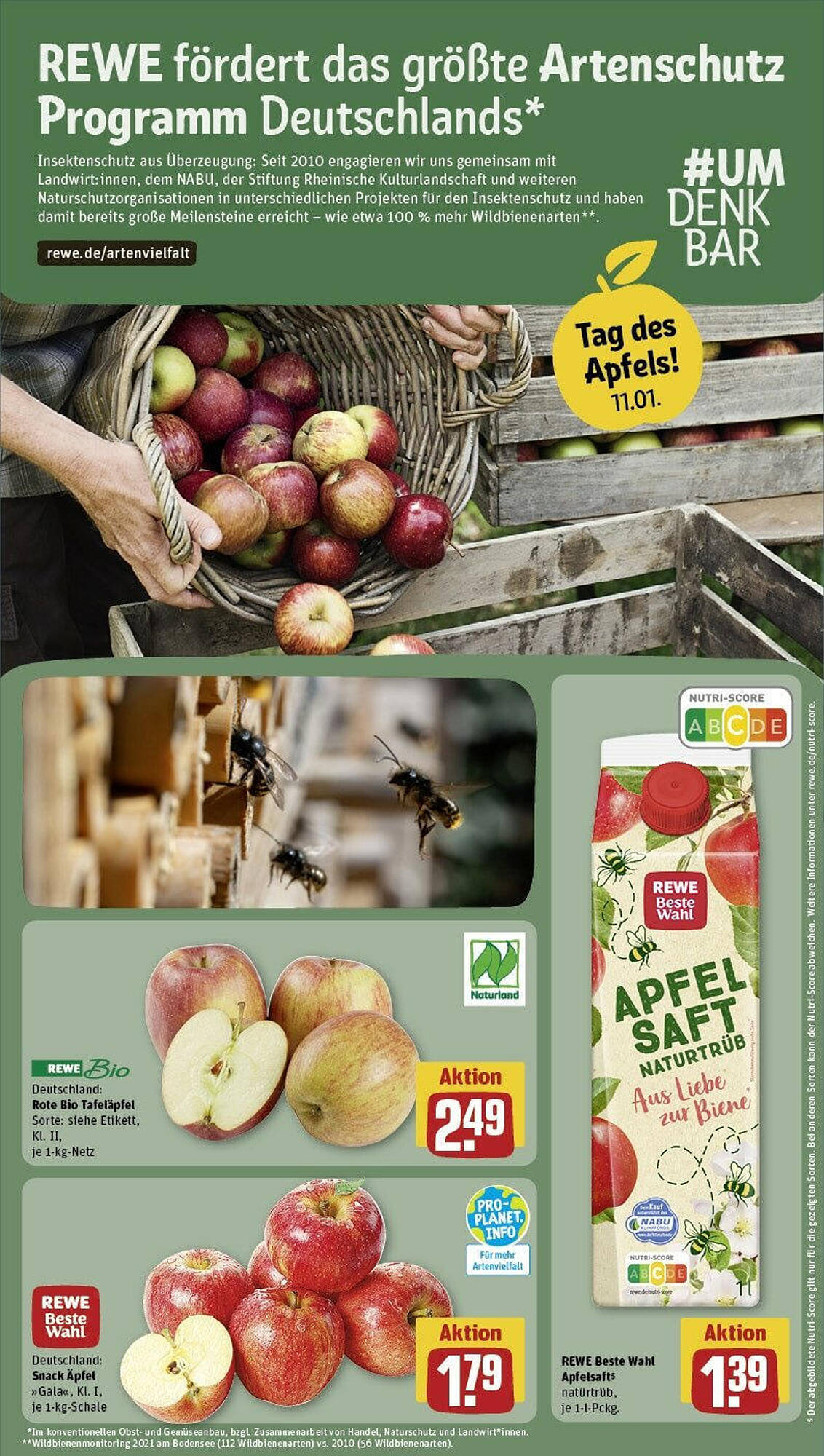 REWE Prospekt 8 – 14 Januar 2024 Seite 13