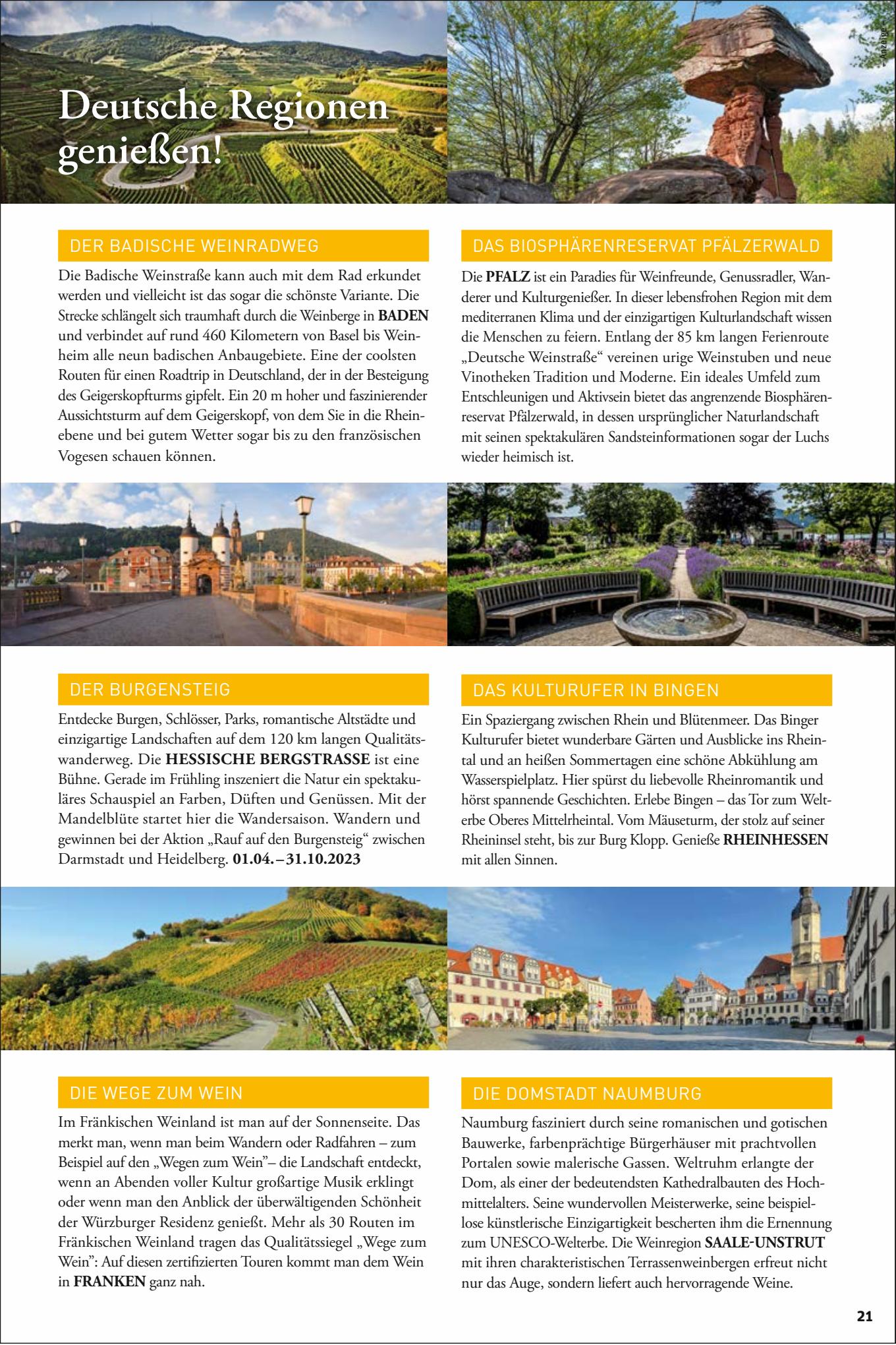 tegut Prospekt 7 – 10 August 2023 Seite 21